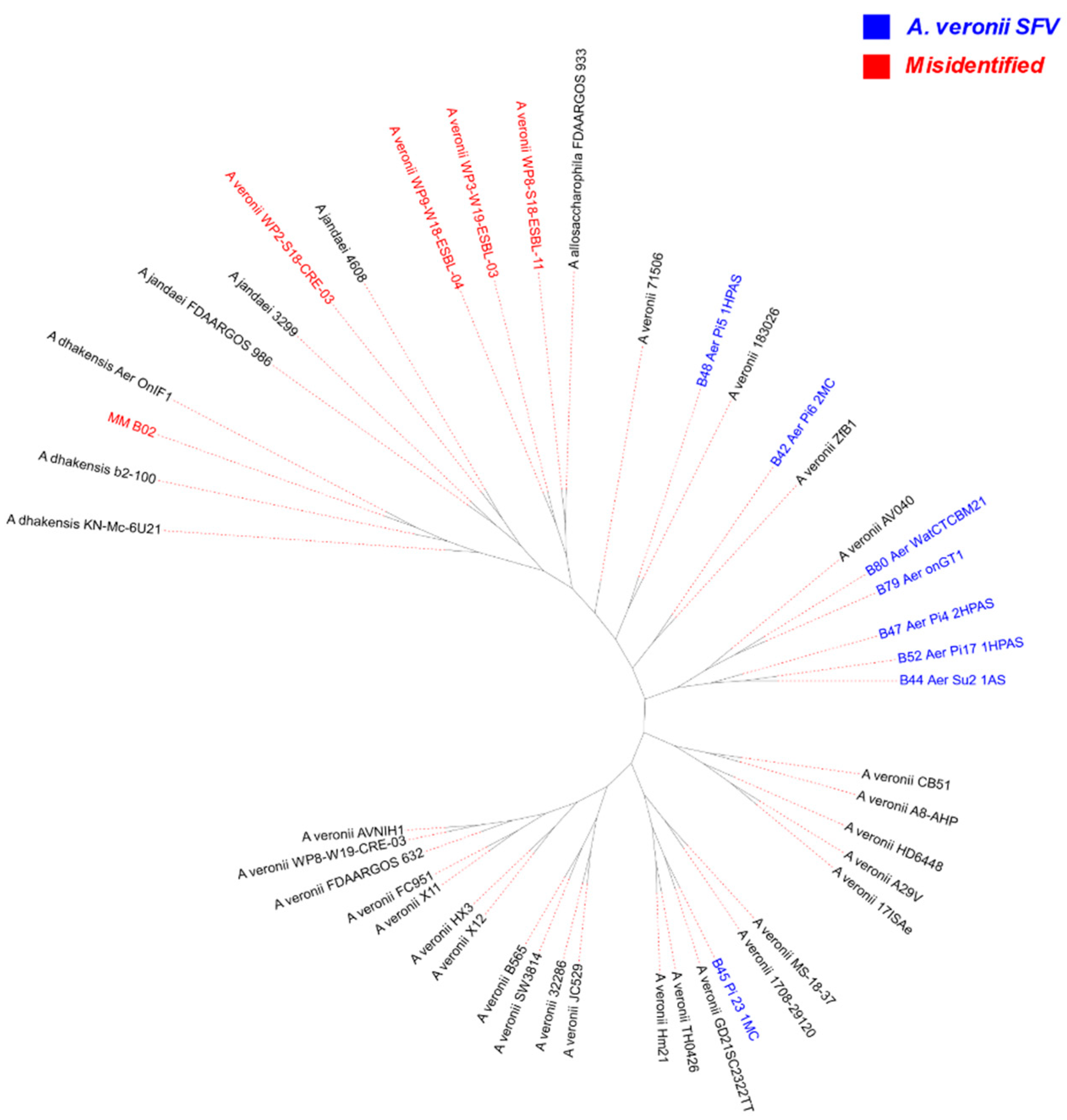 Antibiotics 12 01039 g002