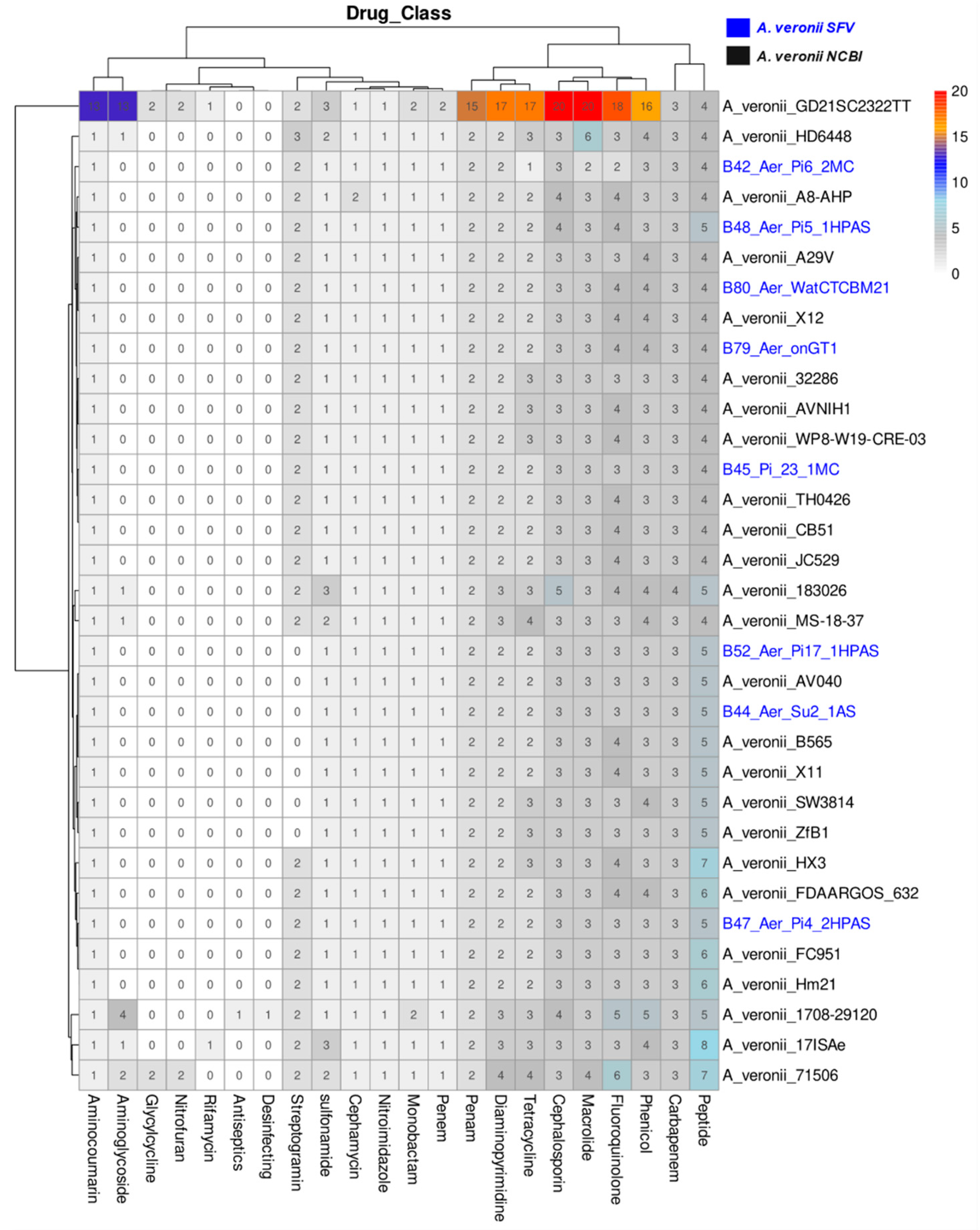 Antibiotics 12 01039 g004