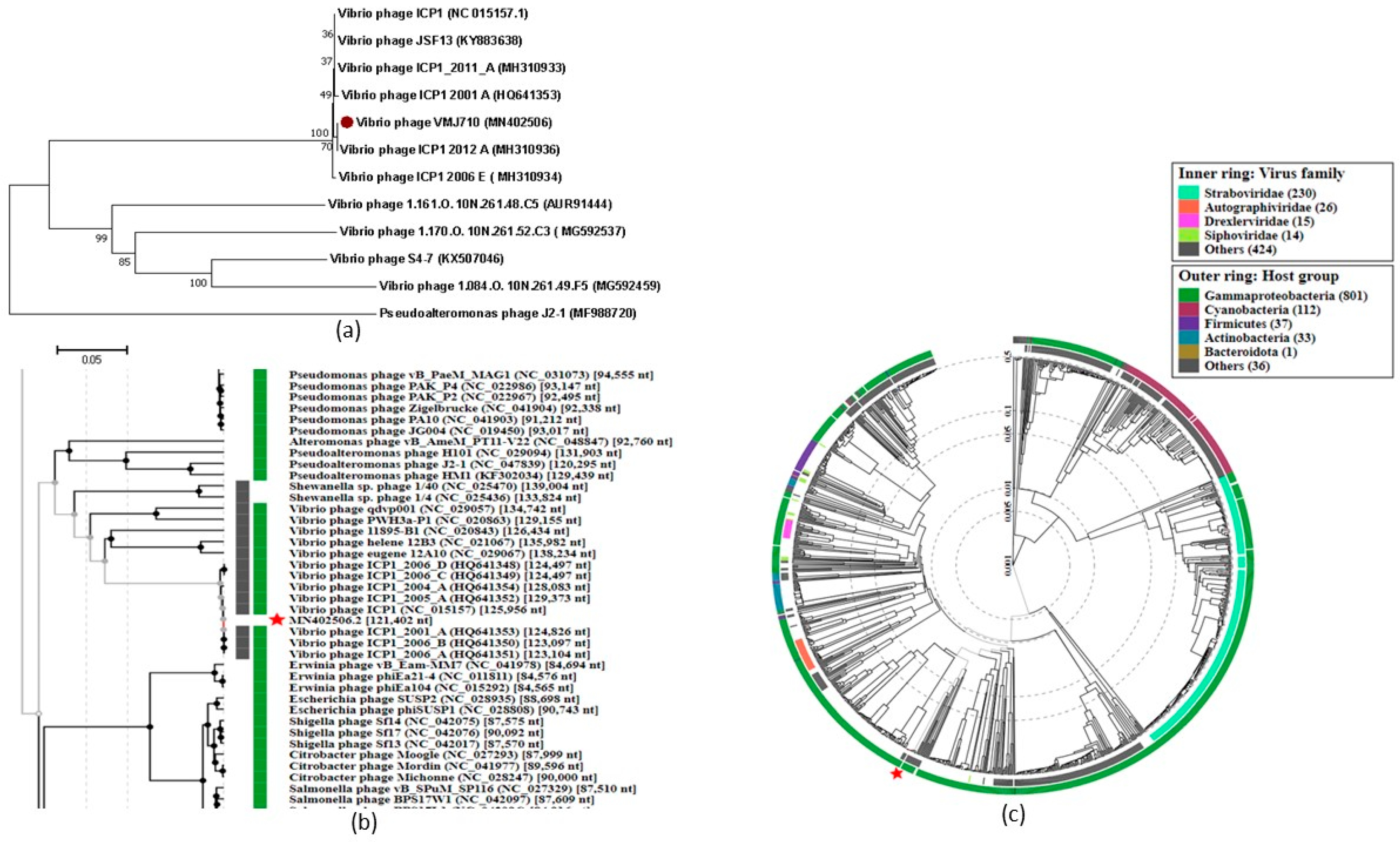 Antibiotics 12 01046 g005 Antibiotics 12 01046 g005