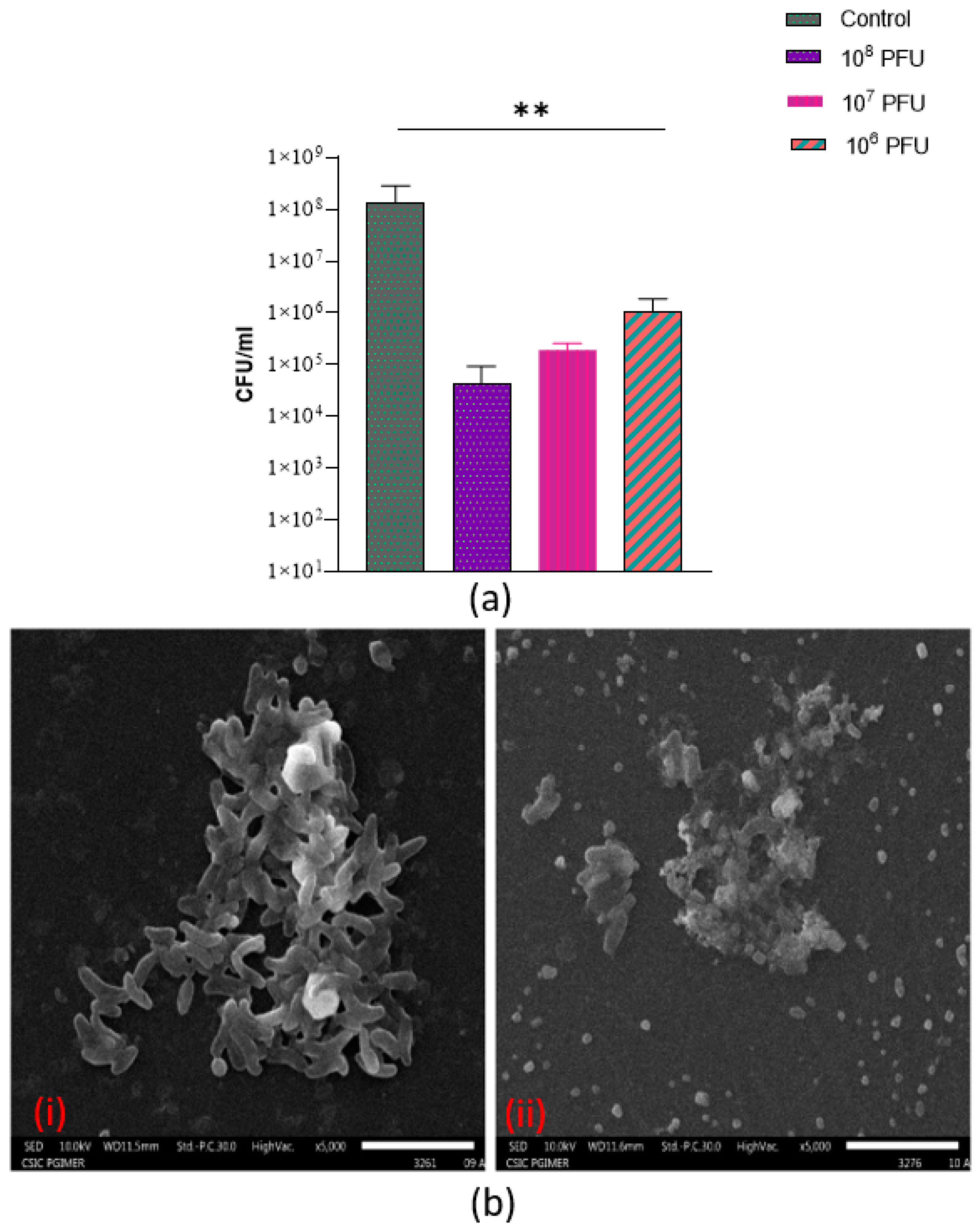 Antibiotics 12 01046 g009 Antibiotics 12 01046 g009