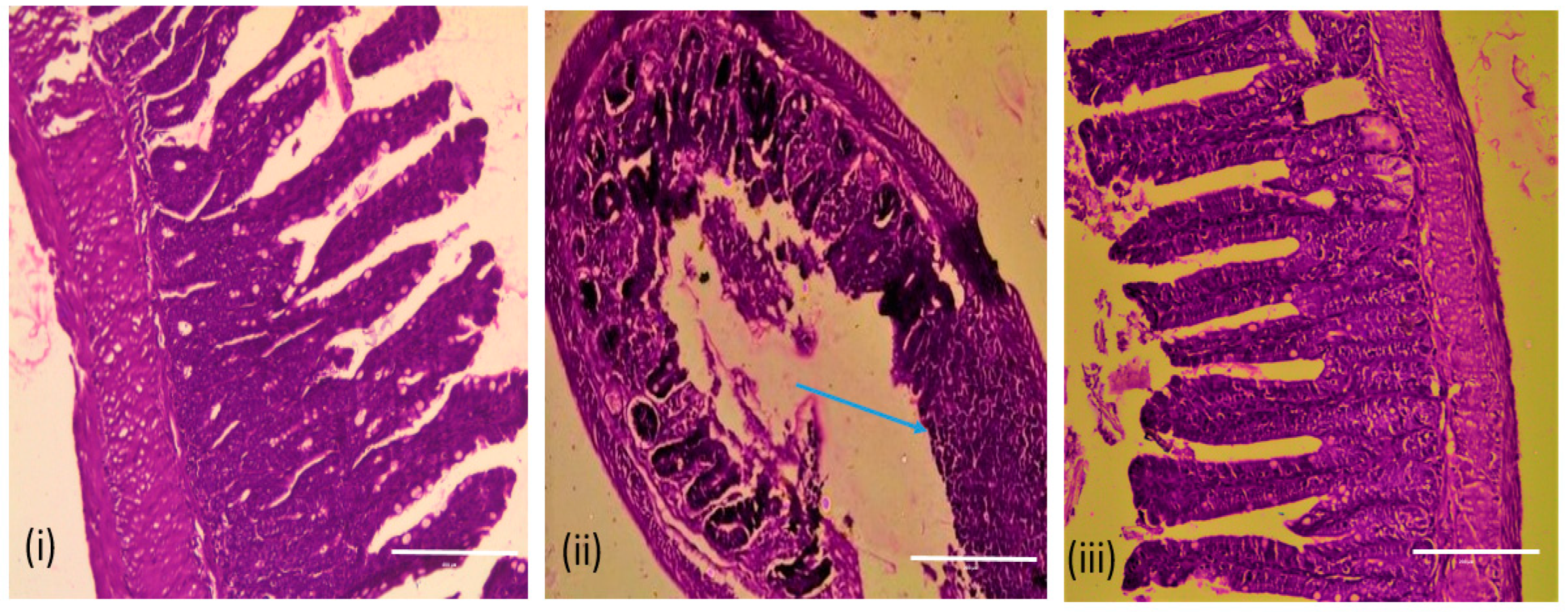 Antibiotics 12 01046 g011 Antibiotics 12 01046 g011