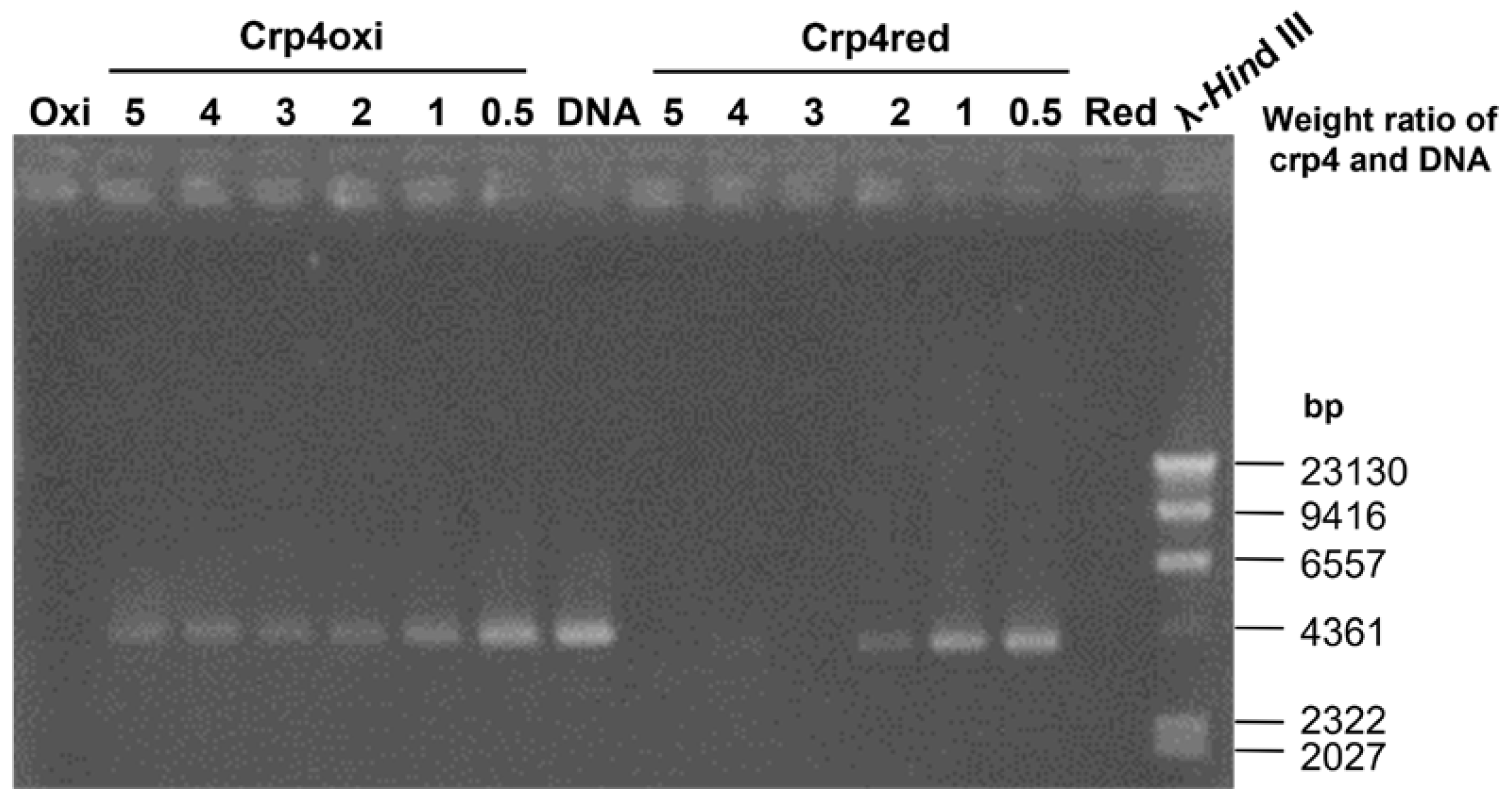 Antibiotics 12 01047 g006 Antibiotics 12 01047 g006