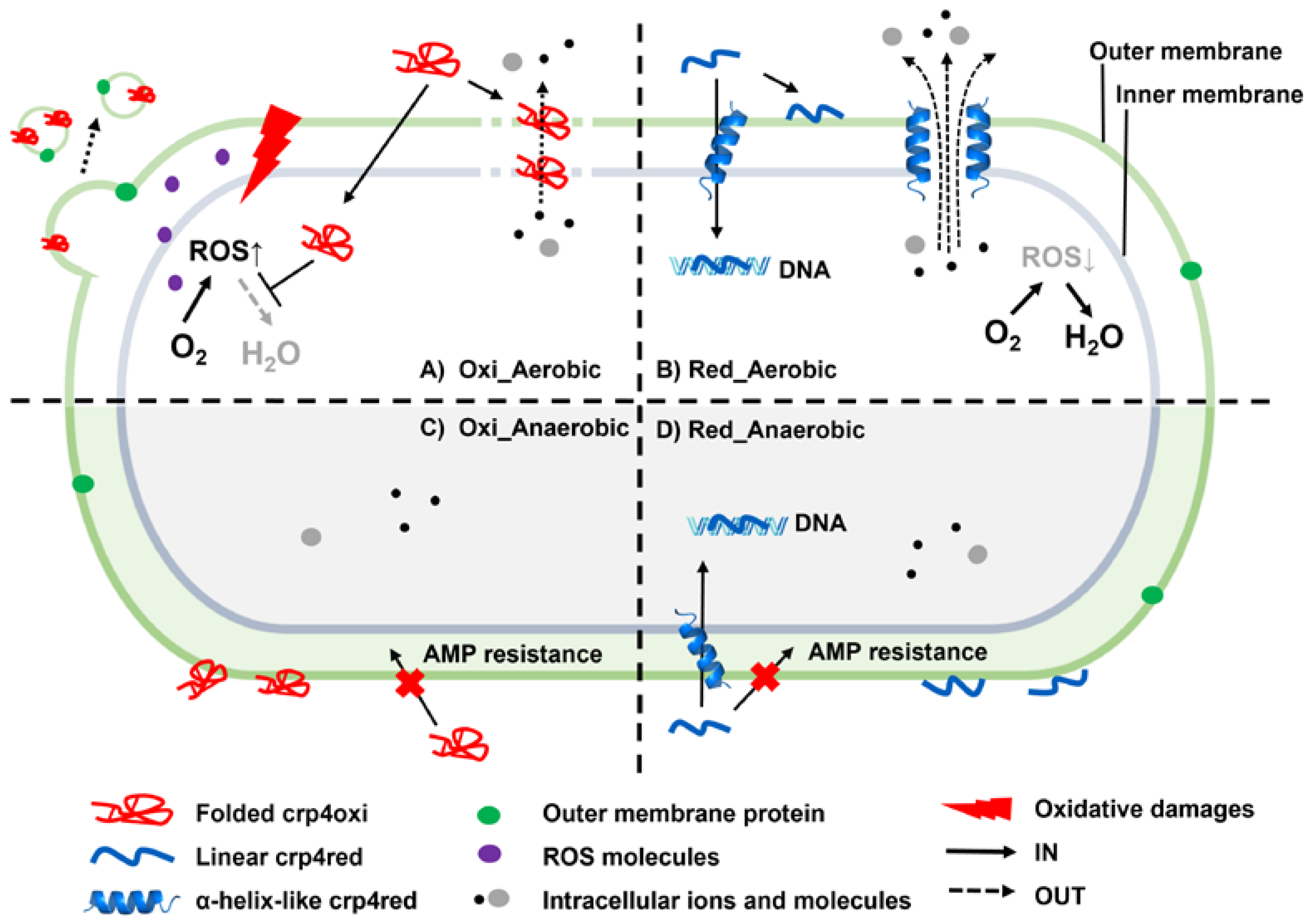 Antibiotics 12 01047 g008 Antibiotics 12 01047 g008