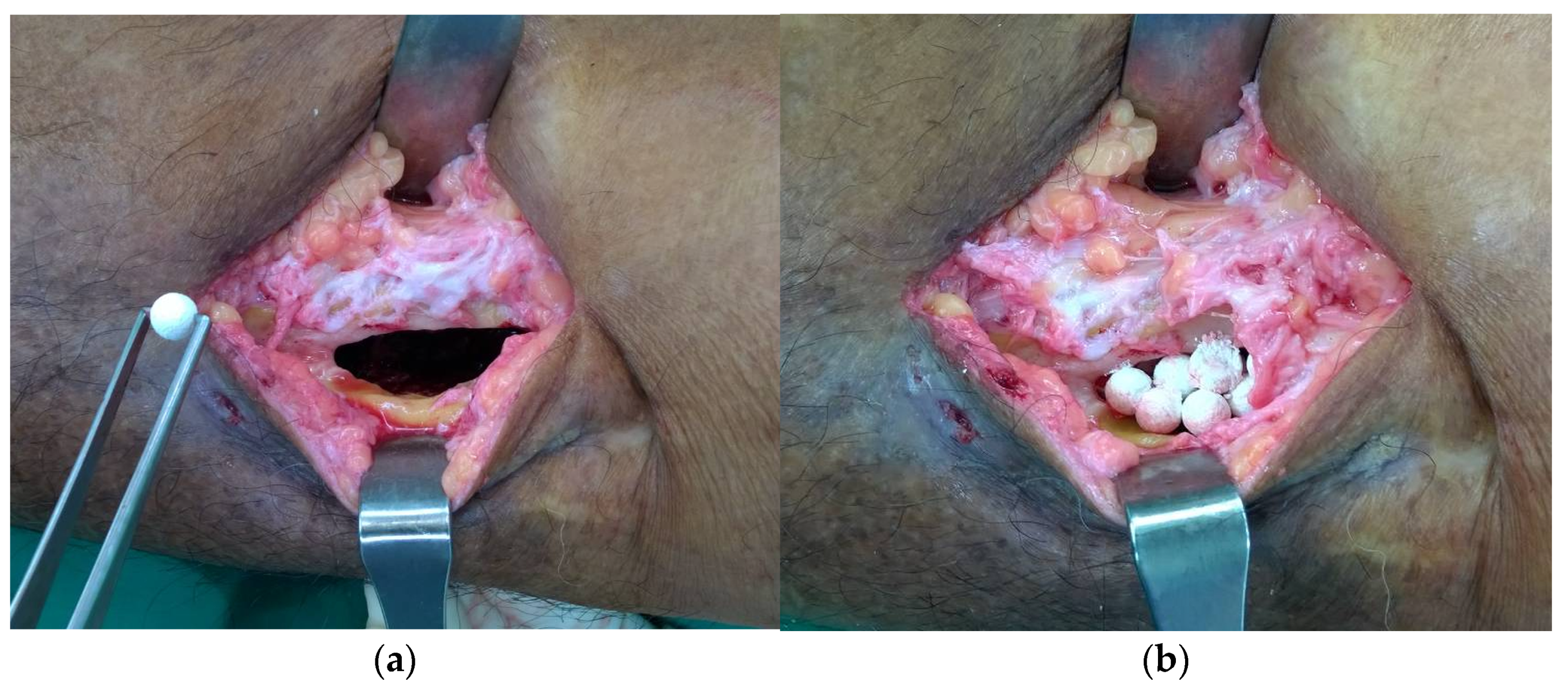 Antibiotics 12 01049 g003