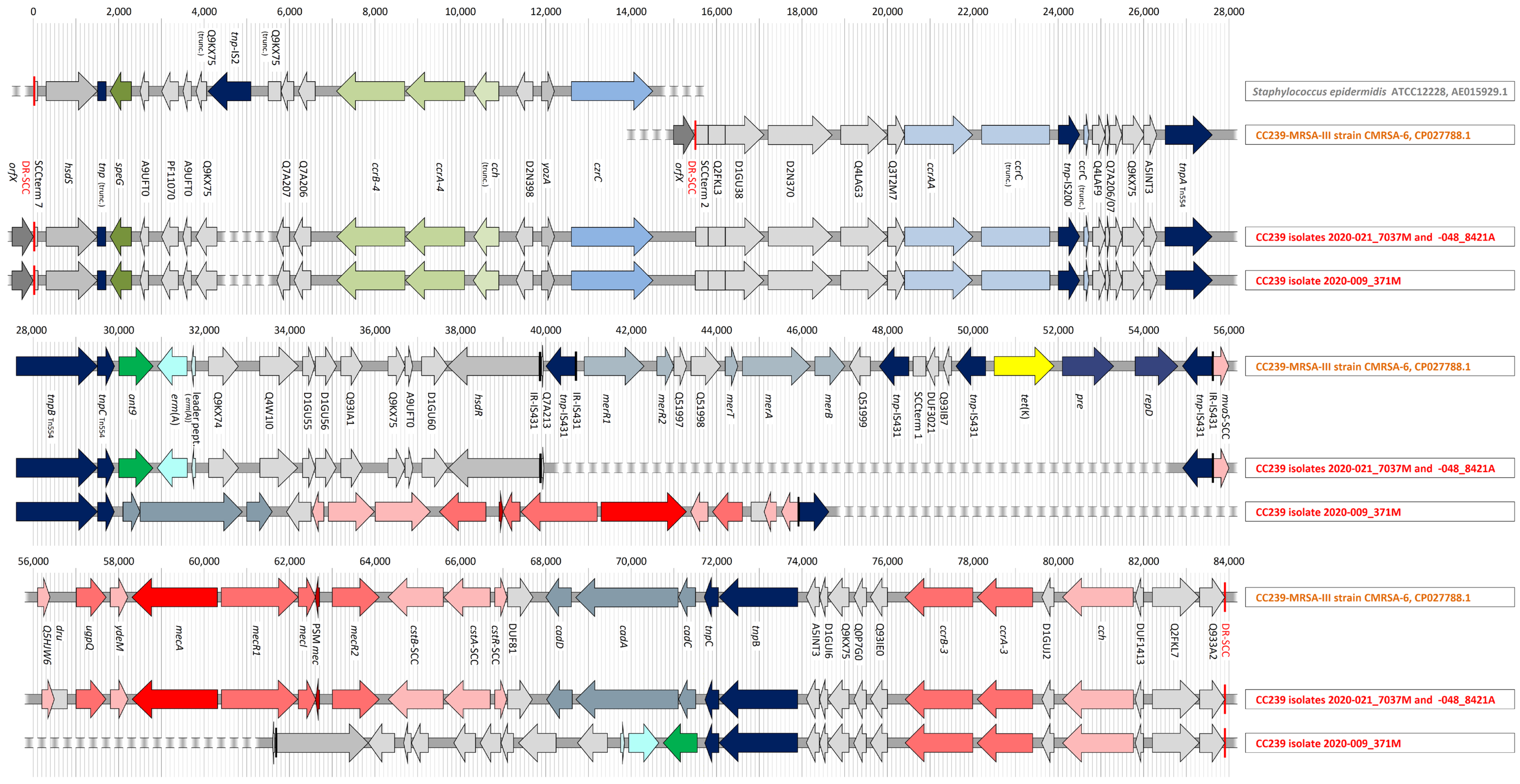 Antibiotics 12 01050 g002 Antibiotics 12 01050 g002