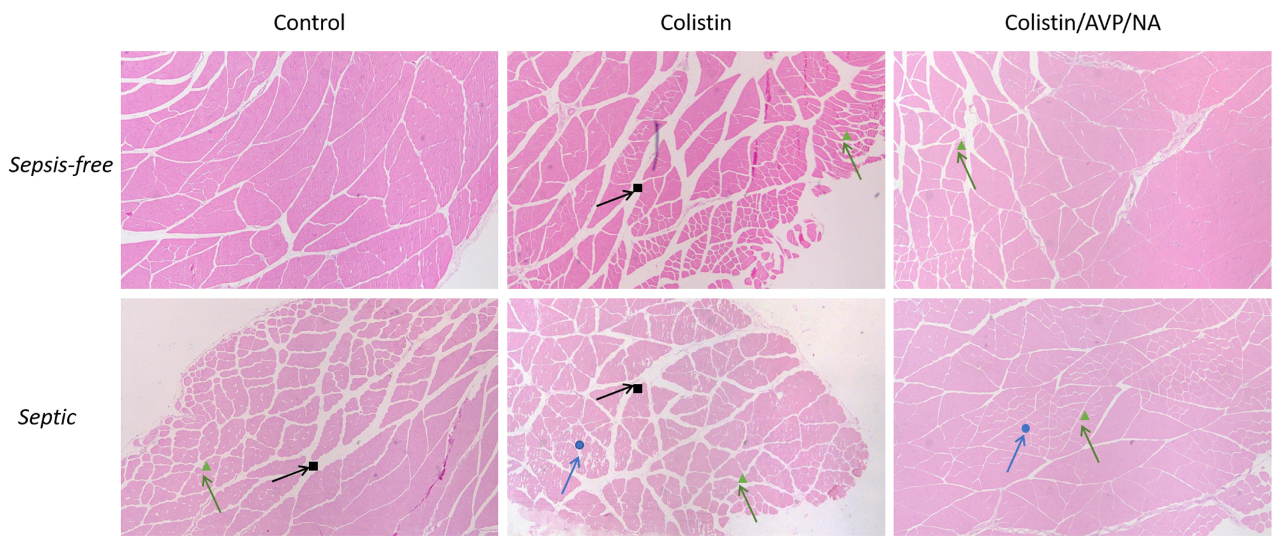 Antibiotics 12 01057 g002 Antibiotics 12 01057 g002
