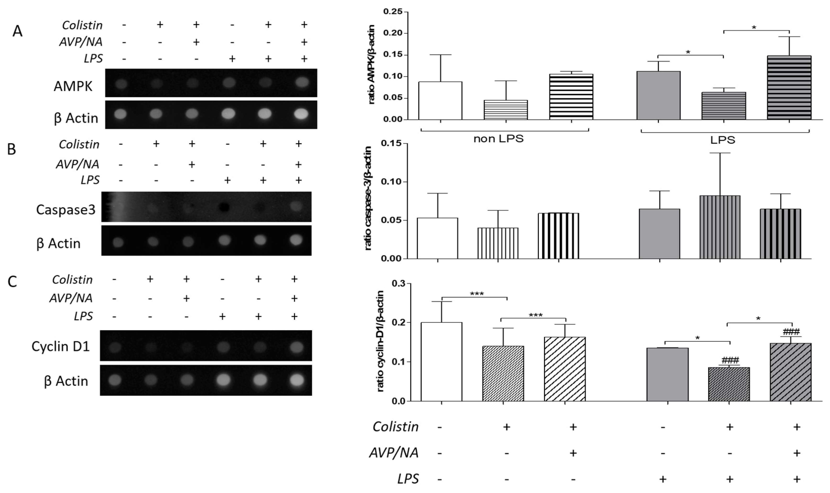 Antibiotics 12 01057 g003 Antibiotics 12 01057 g003