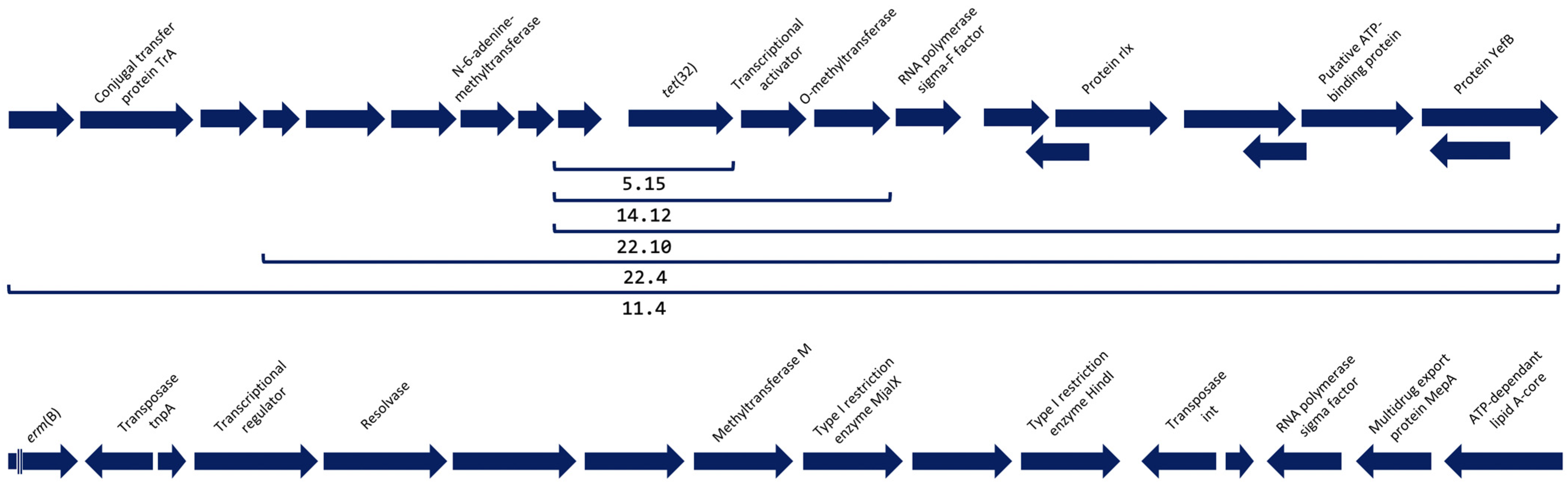 Antibiotics 12 01059 g001 Antibiotics 12 01059 g001