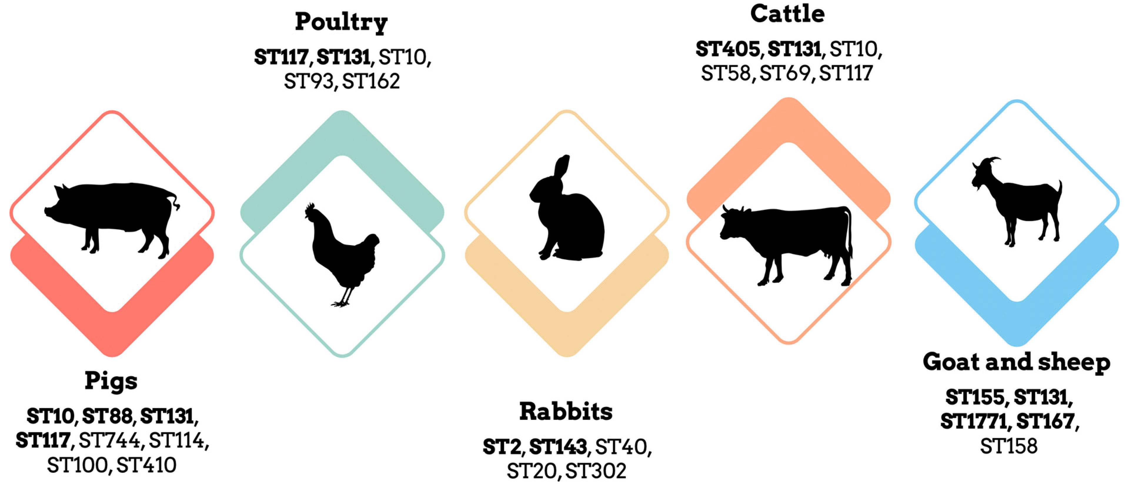 Antibiotics 12 01061 g002 Antibiotics 12 01061 g002