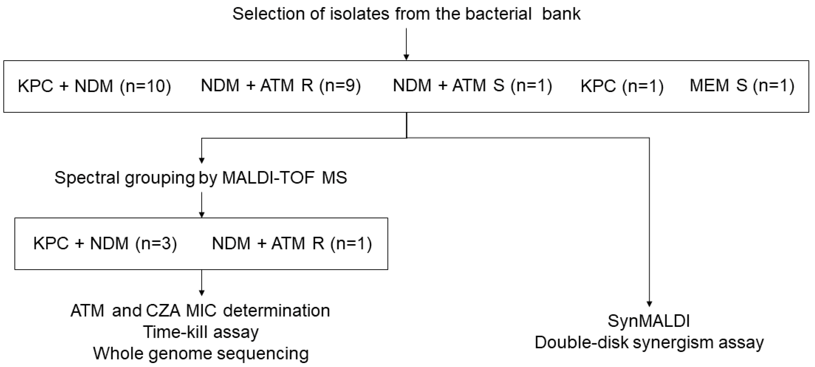 Antibiotics 12 01063 g001 Antibiotics 12 01063 g001