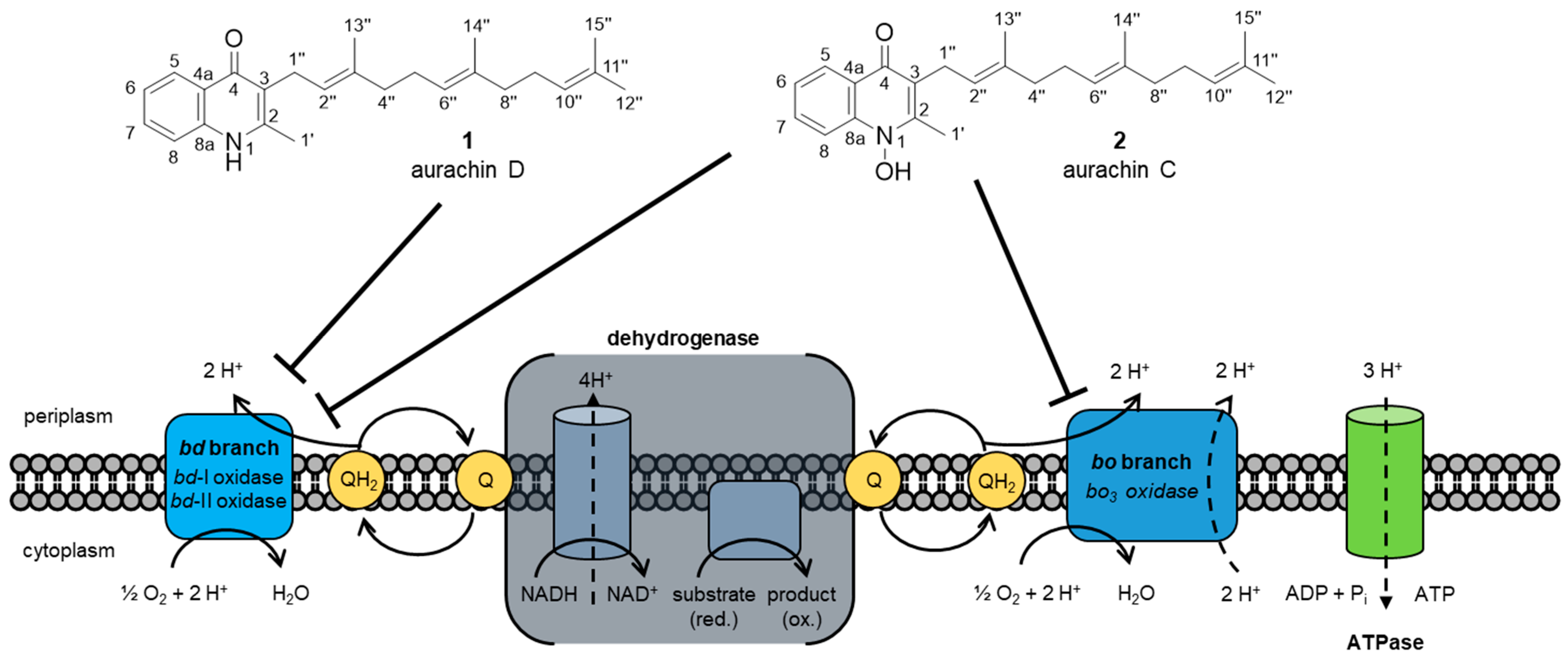 Antibiotics 12 01067 g001 Antibiotics 12 01067 g001
