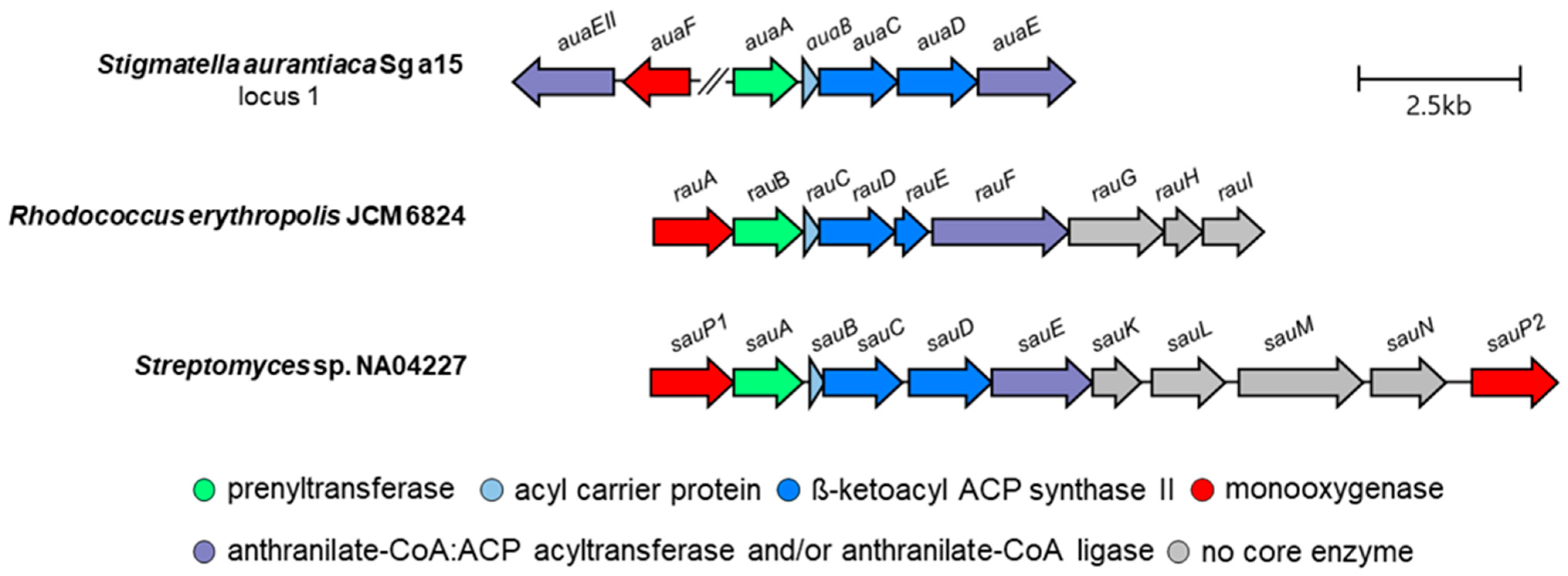 Antibiotics 12 01067 g004 Antibiotics 12 01067 g004