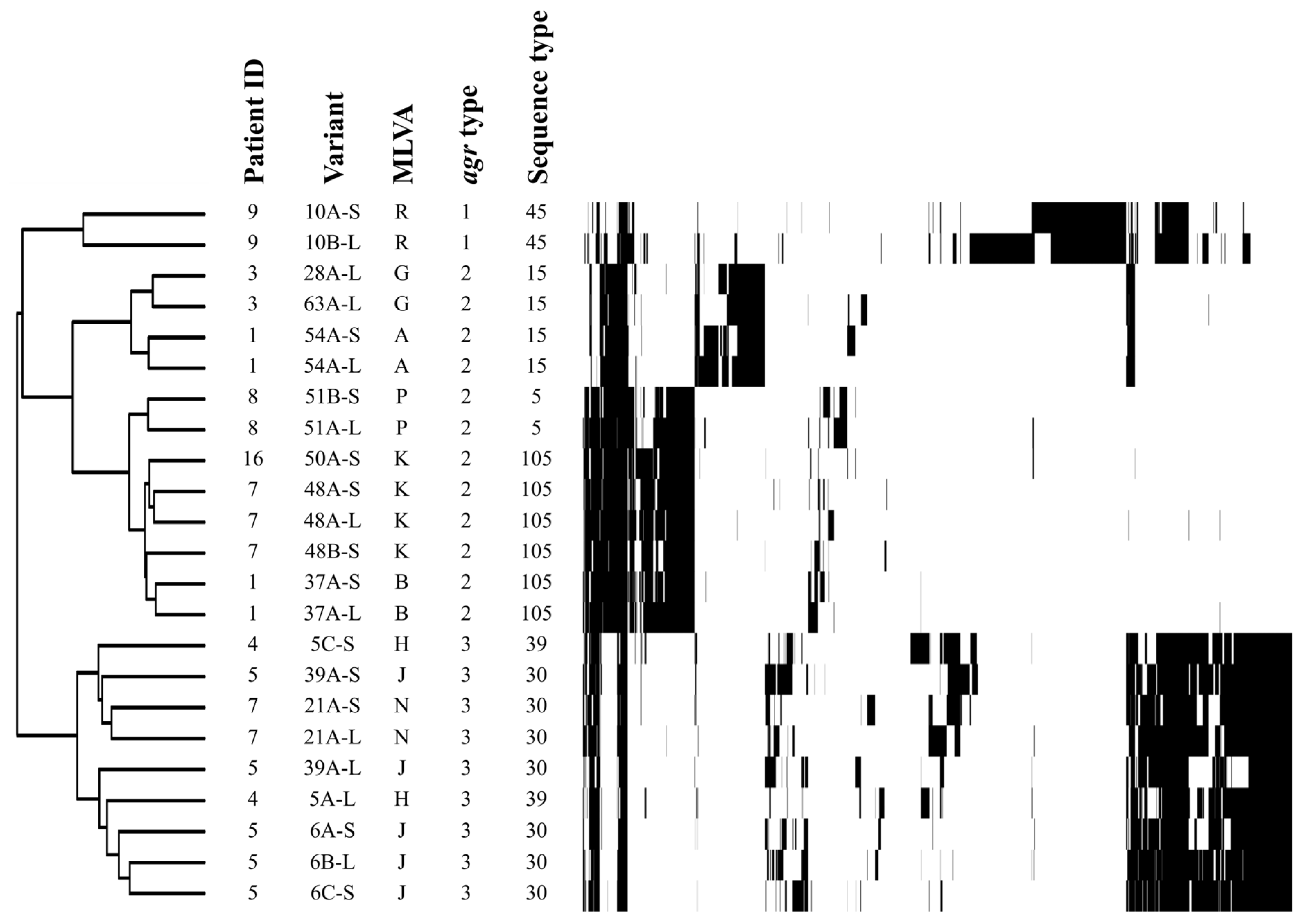 Antibiotics 12 01069 g001 Antibiotics 12 01069 g001