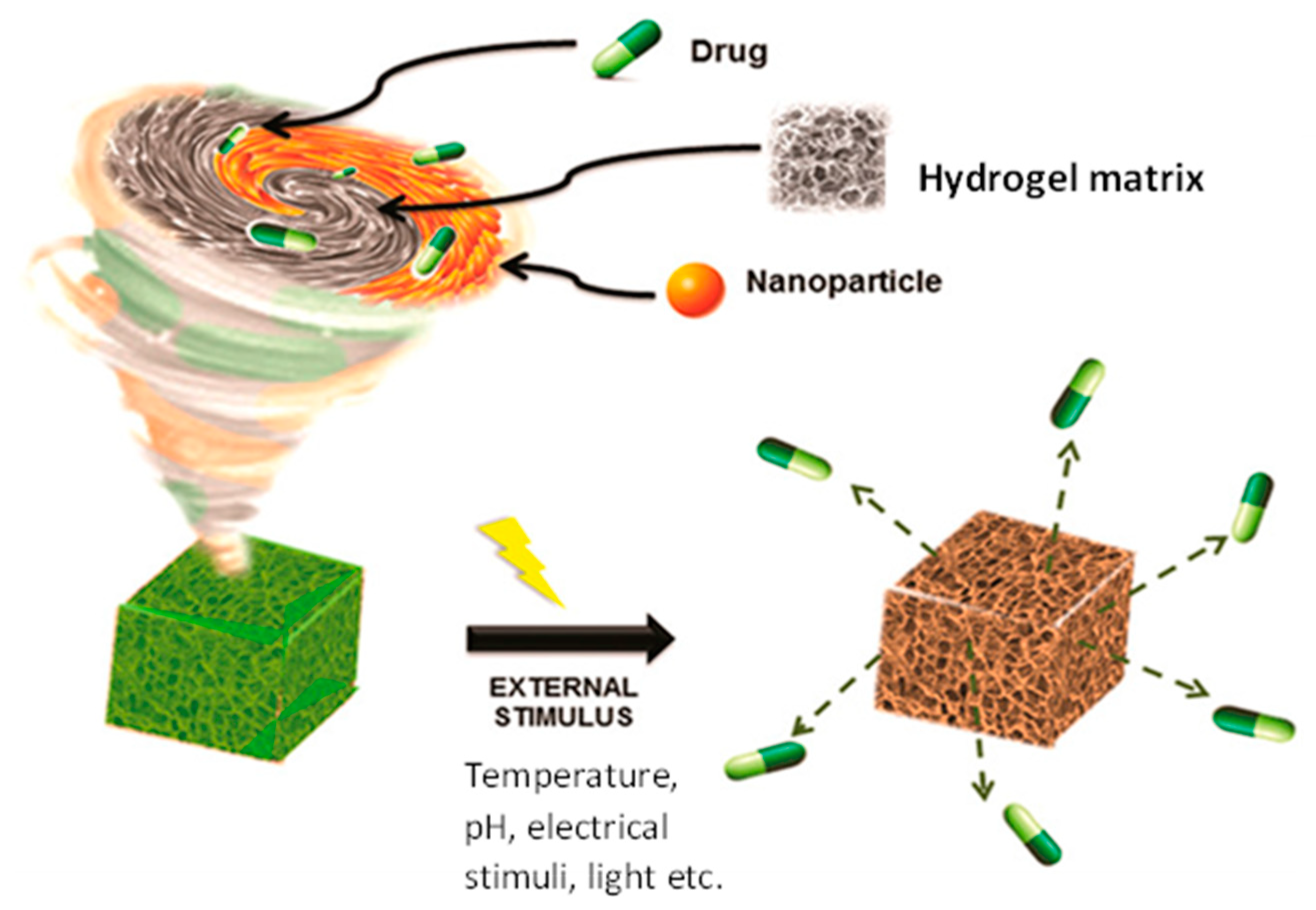 Antibiotics 12 01073 g003