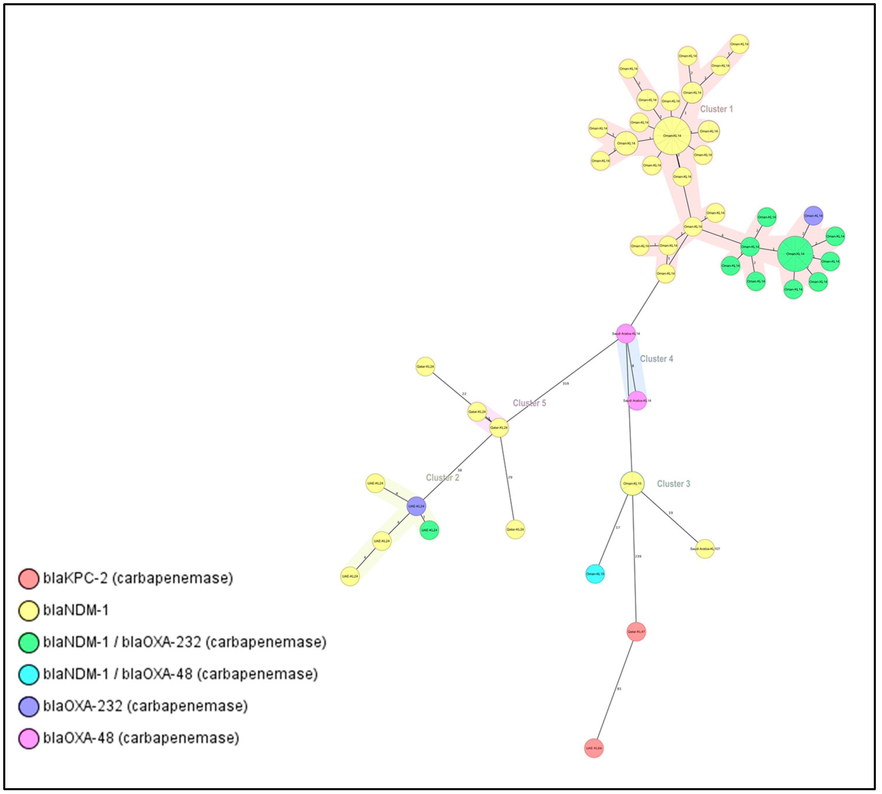 Antibiotics 12 01081 g001 Antibiotics 12 01081 g001