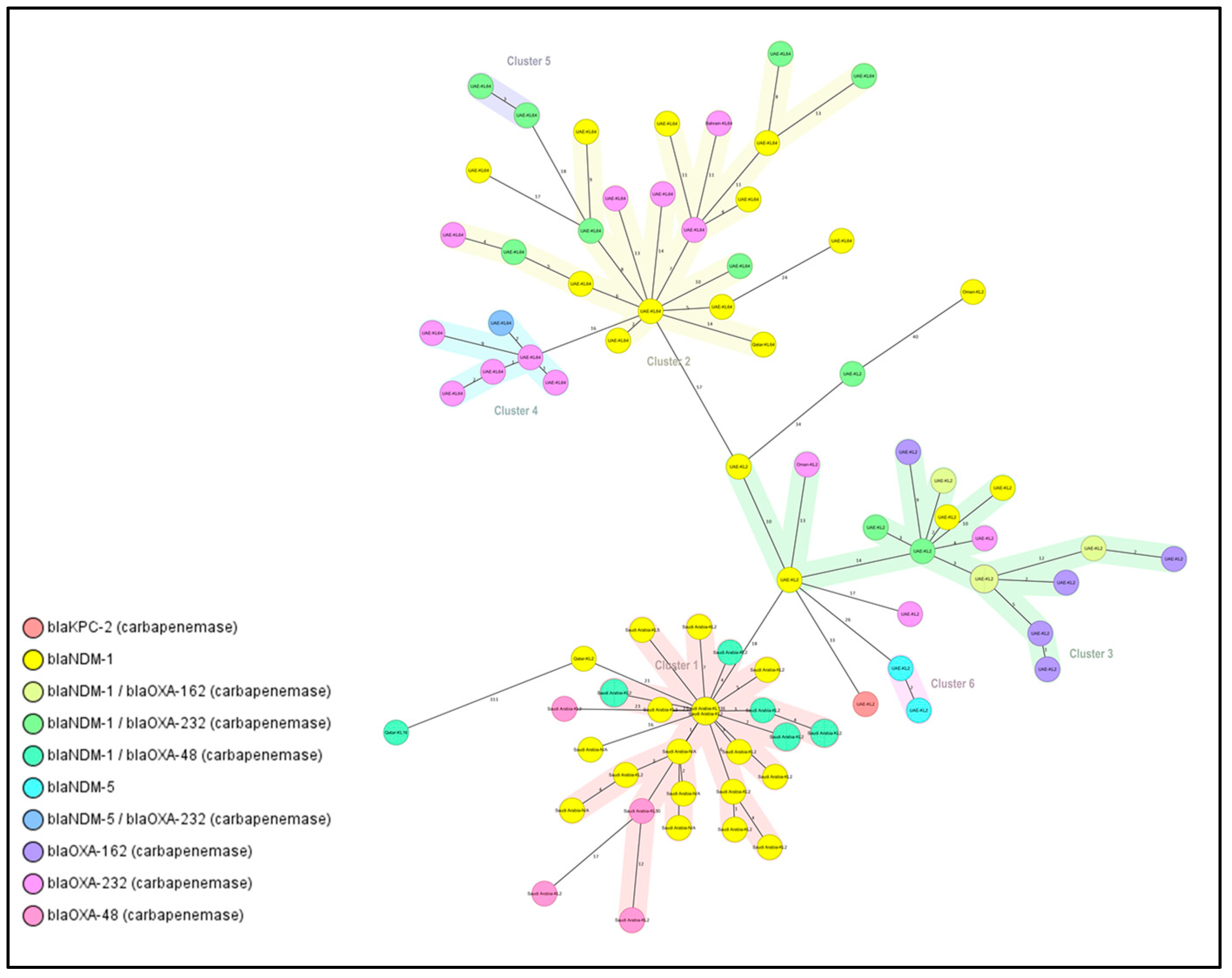 Antibiotics 12 01081 g002 Antibiotics 12 01081 g002