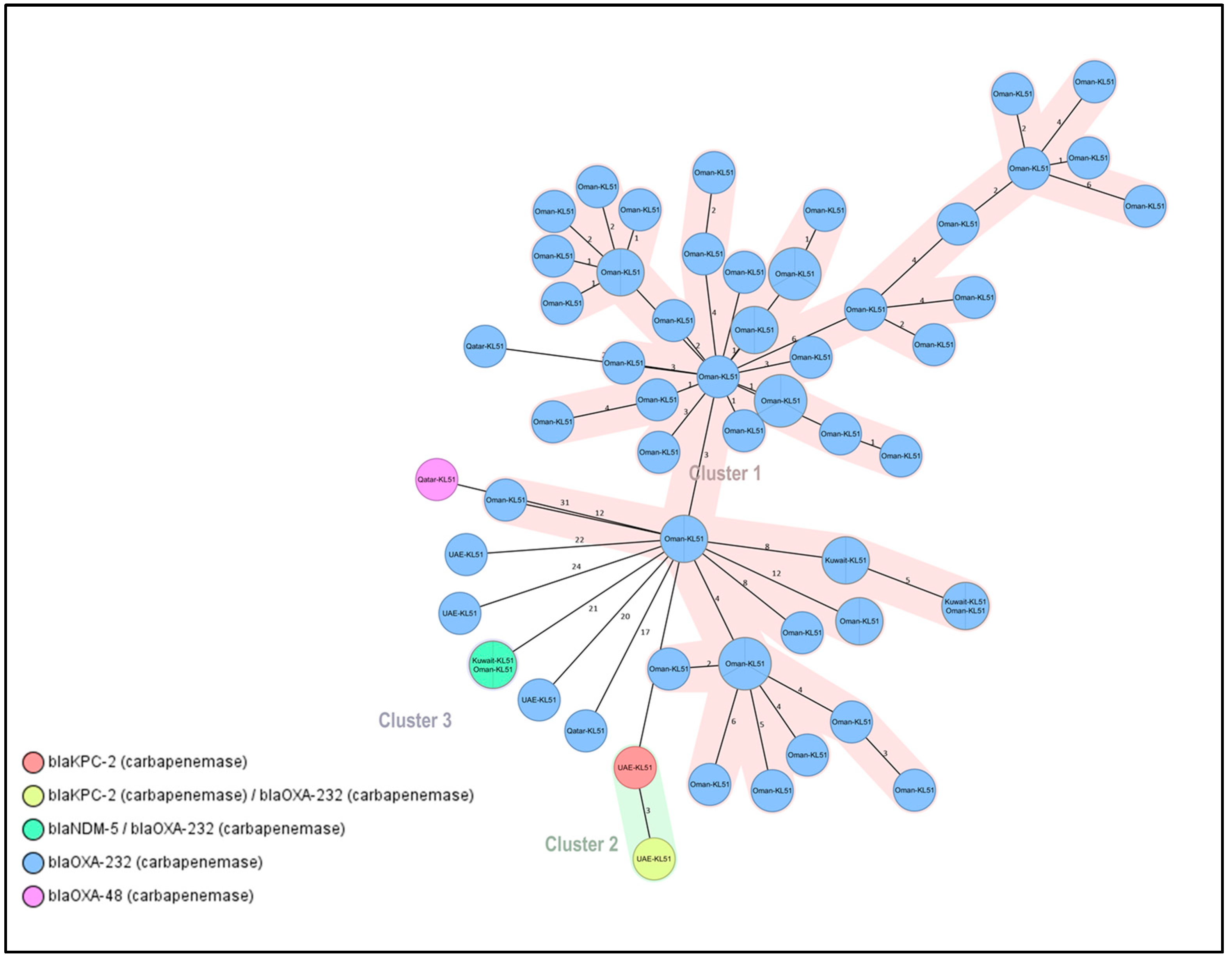 Antibiotics 12 01081 g003 Antibiotics 12 01081 g003