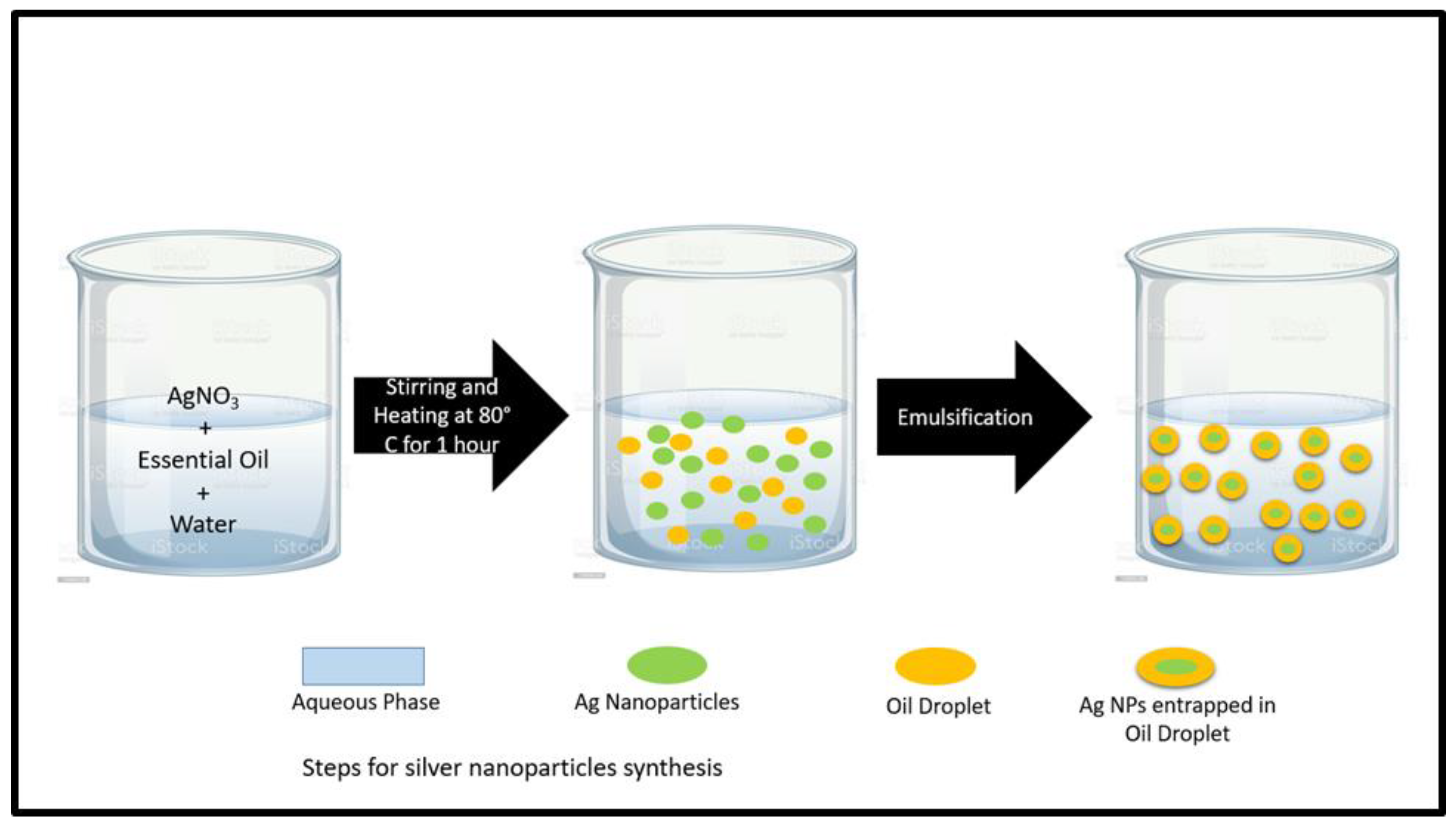 Antibiotics 12 01090 g001 Antibiotics 12 01090 g001