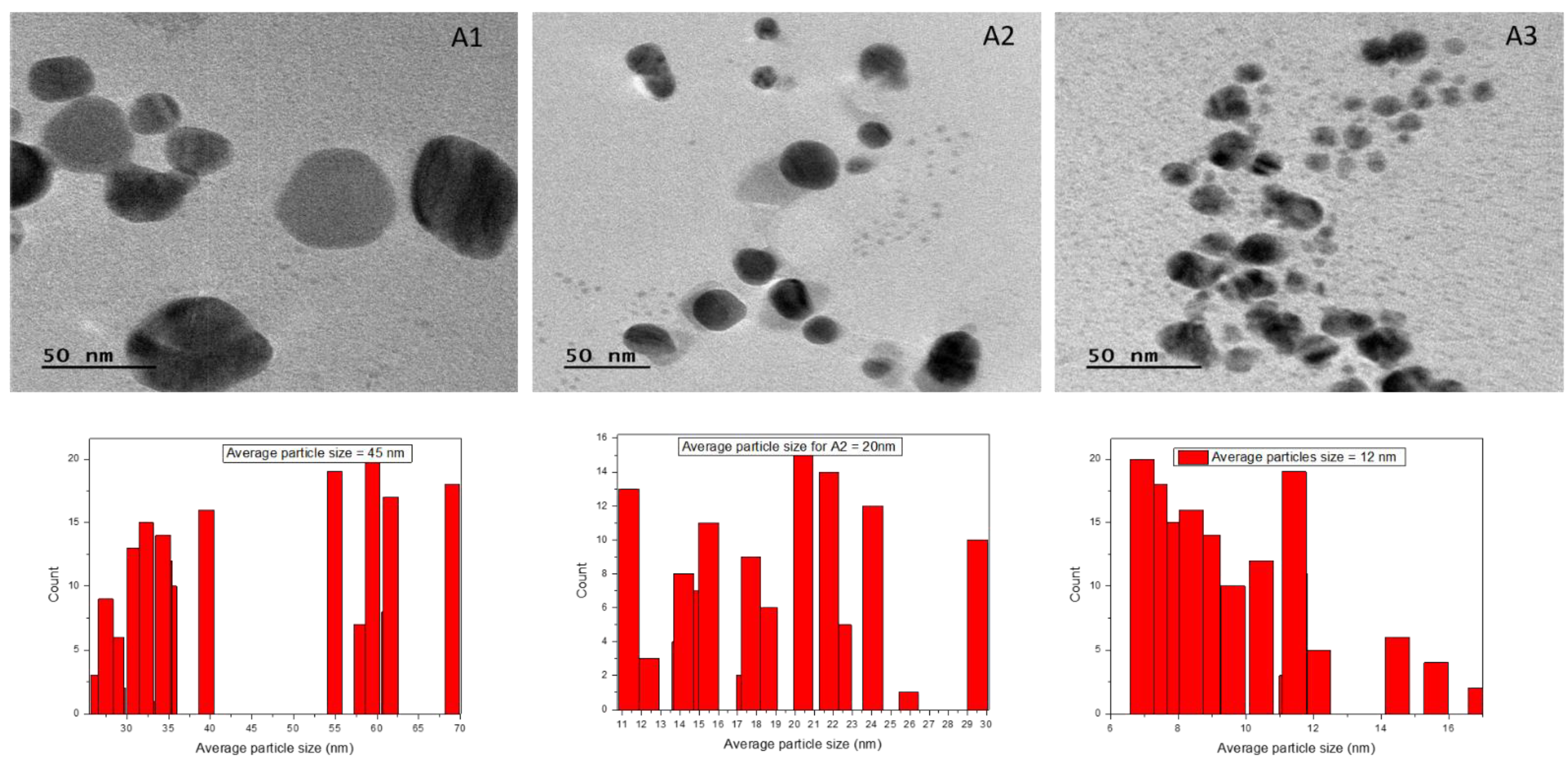 Antibiotics 12 01090 g007 Antibiotics 12 01090 g007