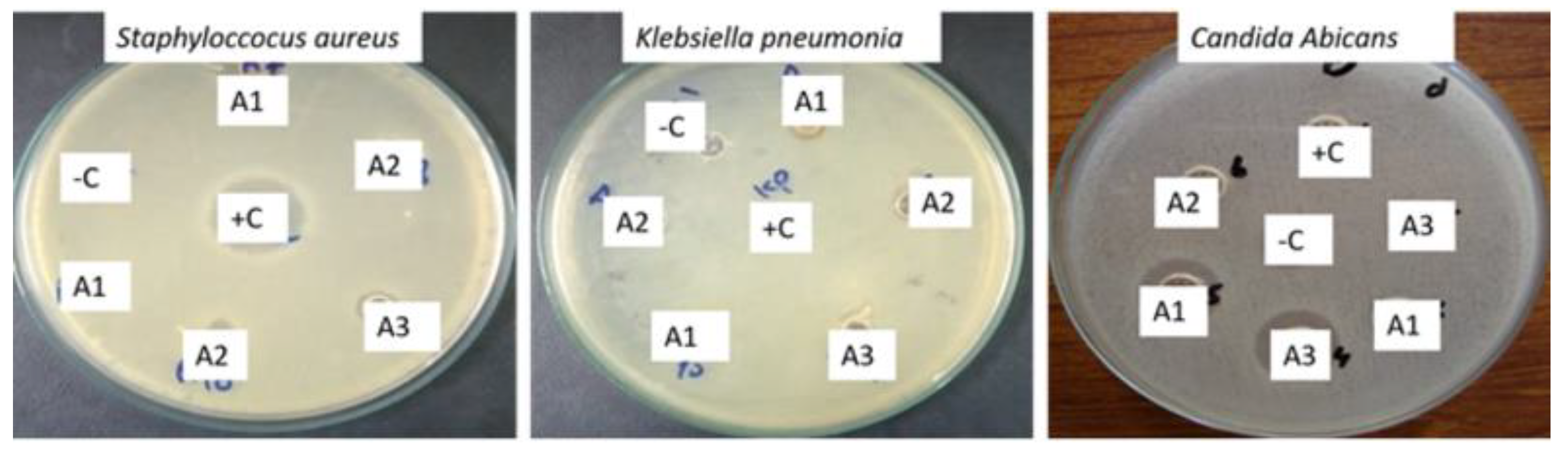 Antibiotics 12 01090 g008 Antibiotics 12 01090 g008