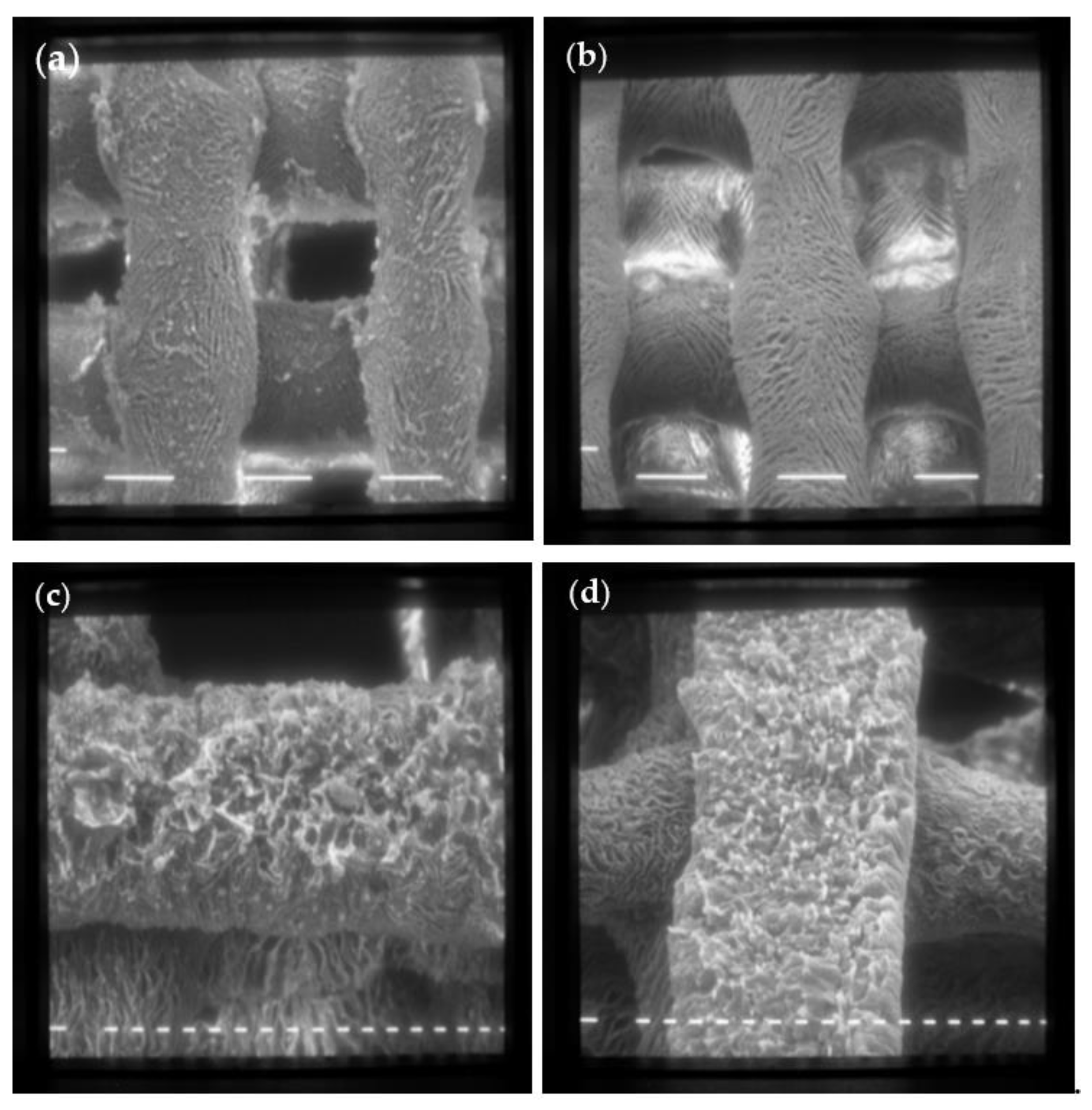 Antibiotics 12 01104 g004 Antibiotics 12 01104 g004