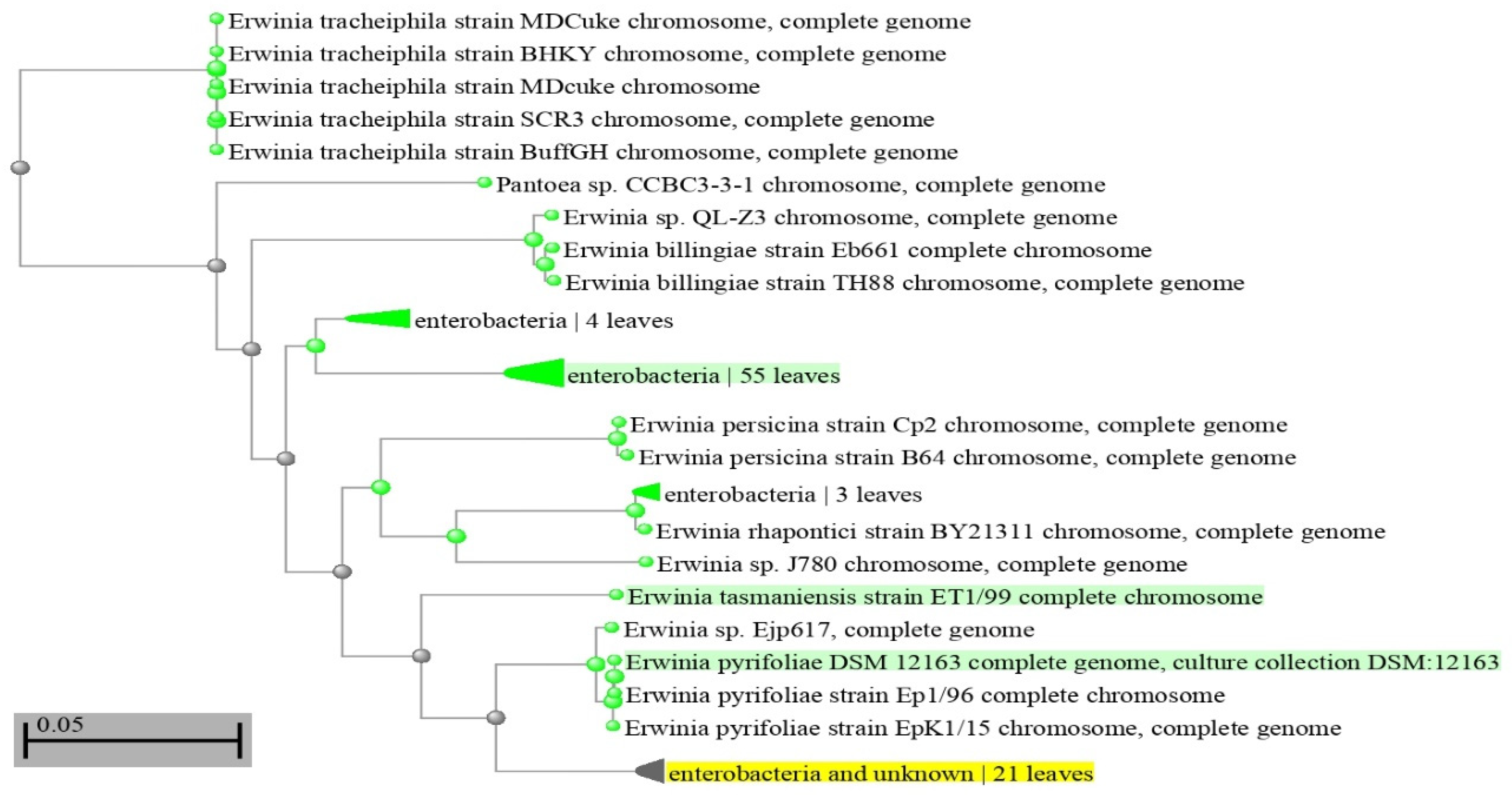 Antibiotics 12 01114 g001 Antibiotics 12 01114 g001