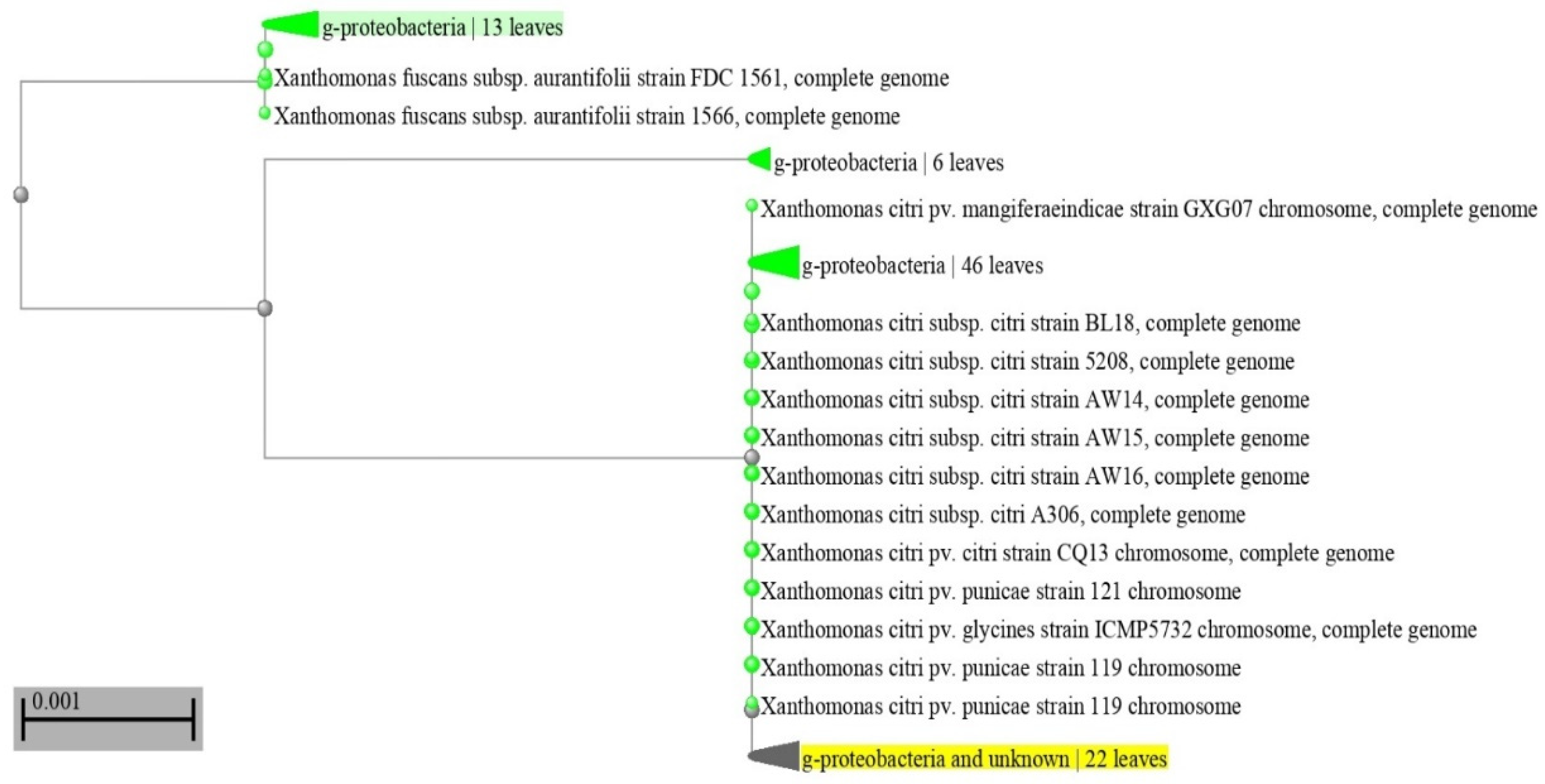 Antibiotics 12 01114 g002 Antibiotics 12 01114 g002