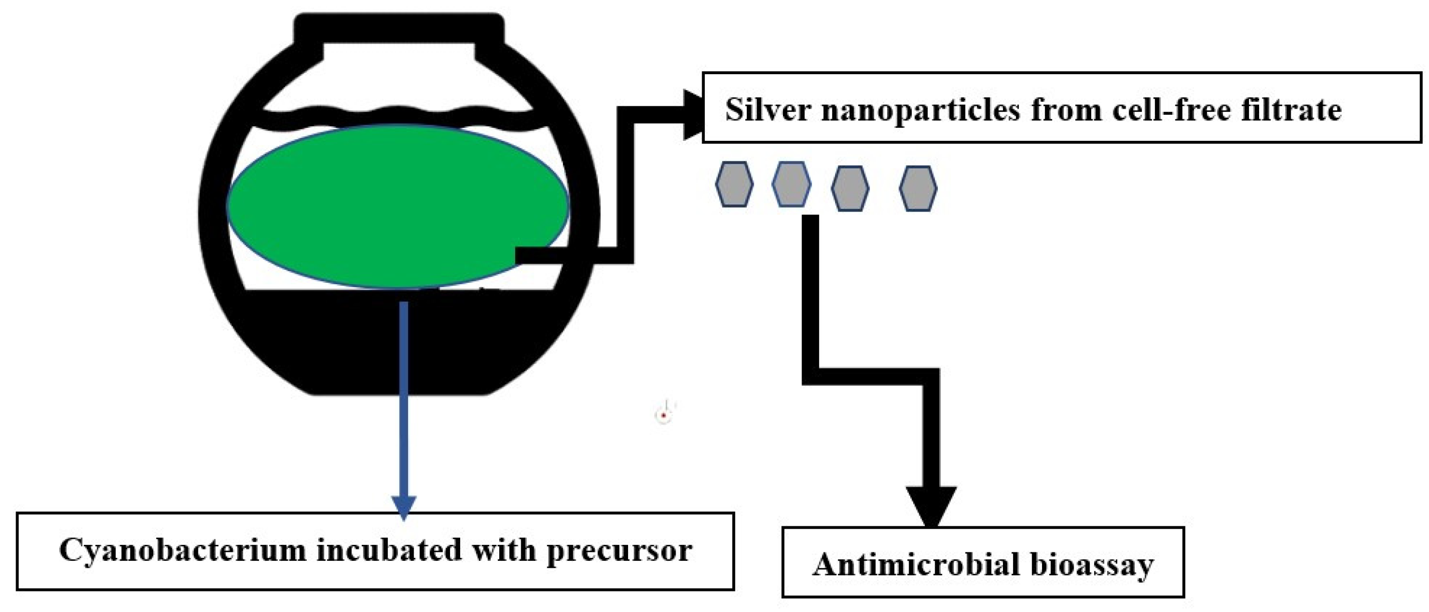 Antibiotics 12 01114 sch001 Antibiotics 12 01114 sch001
