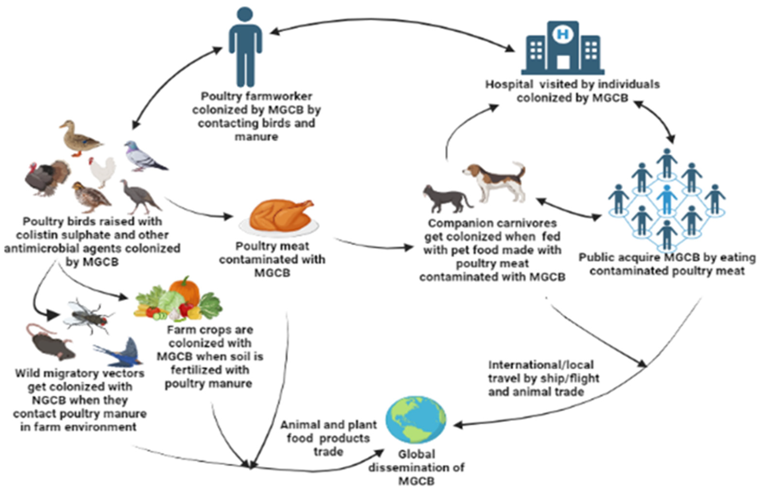 Antibiotics 12 01117 g002 Antibiotics 12 01117 g002