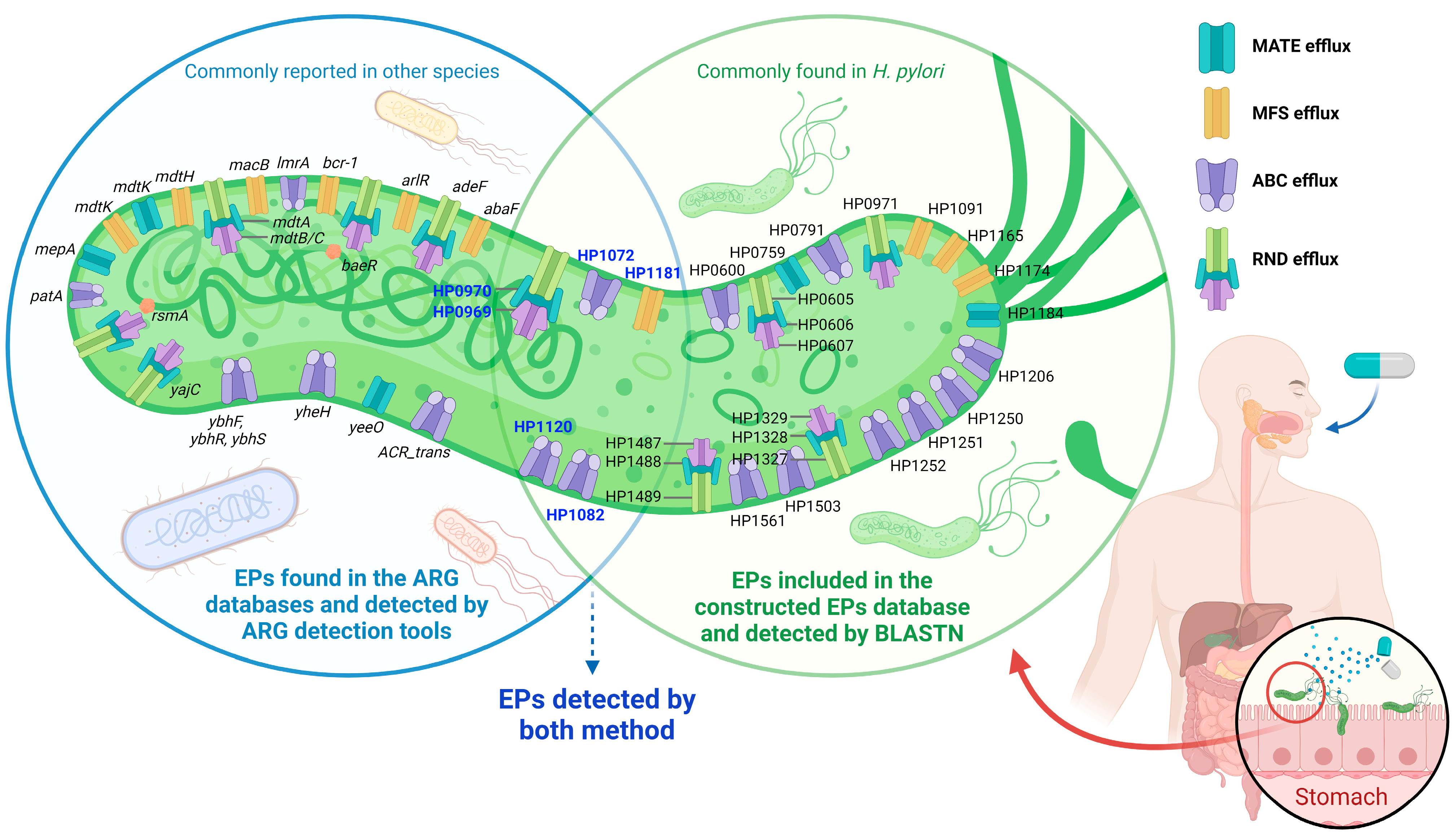 Antibiotics 12 01118 g003 Antibiotics 12 01118 g003