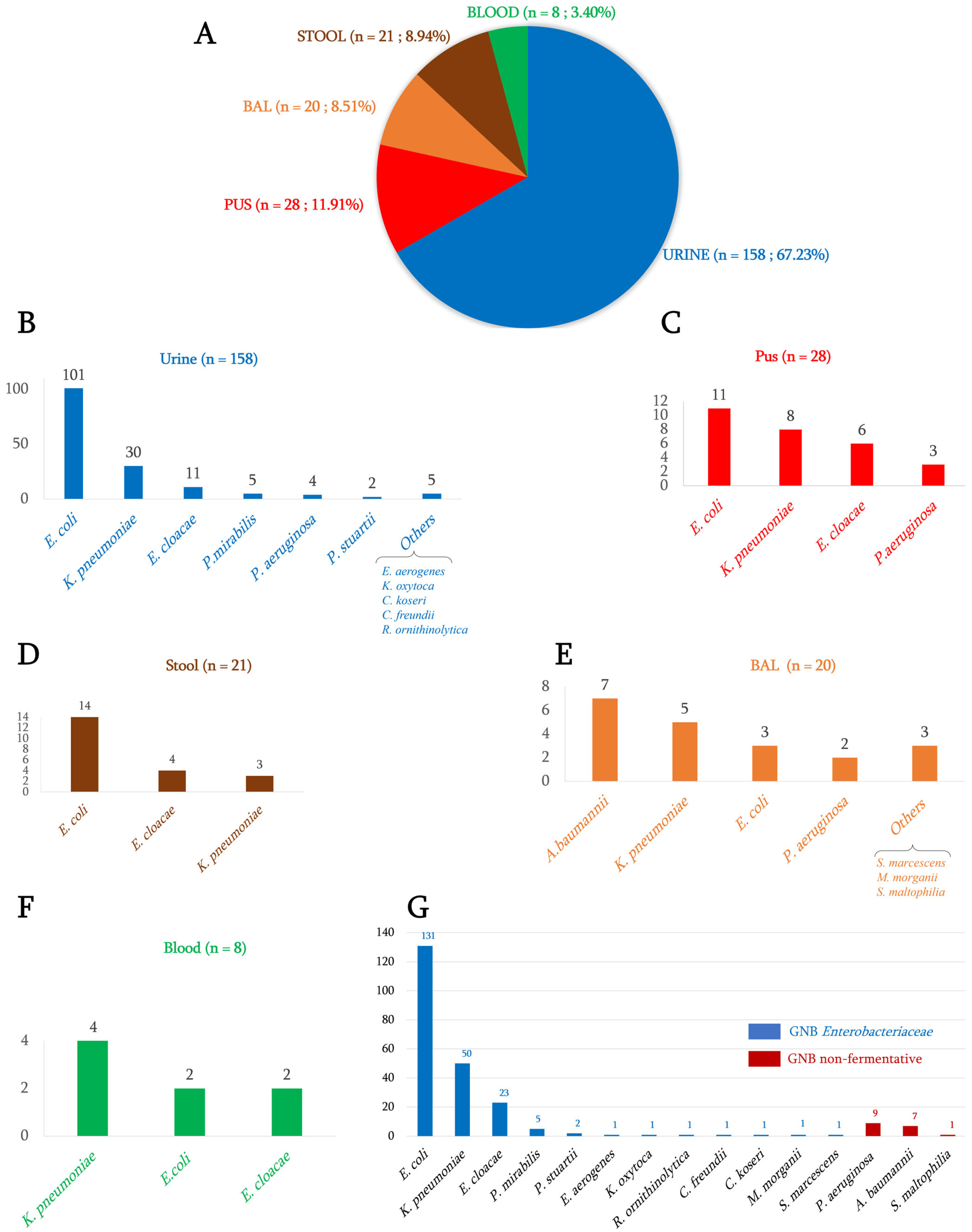 Antibiotics 12 01132 g001 Antibiotics 12 01132 g001