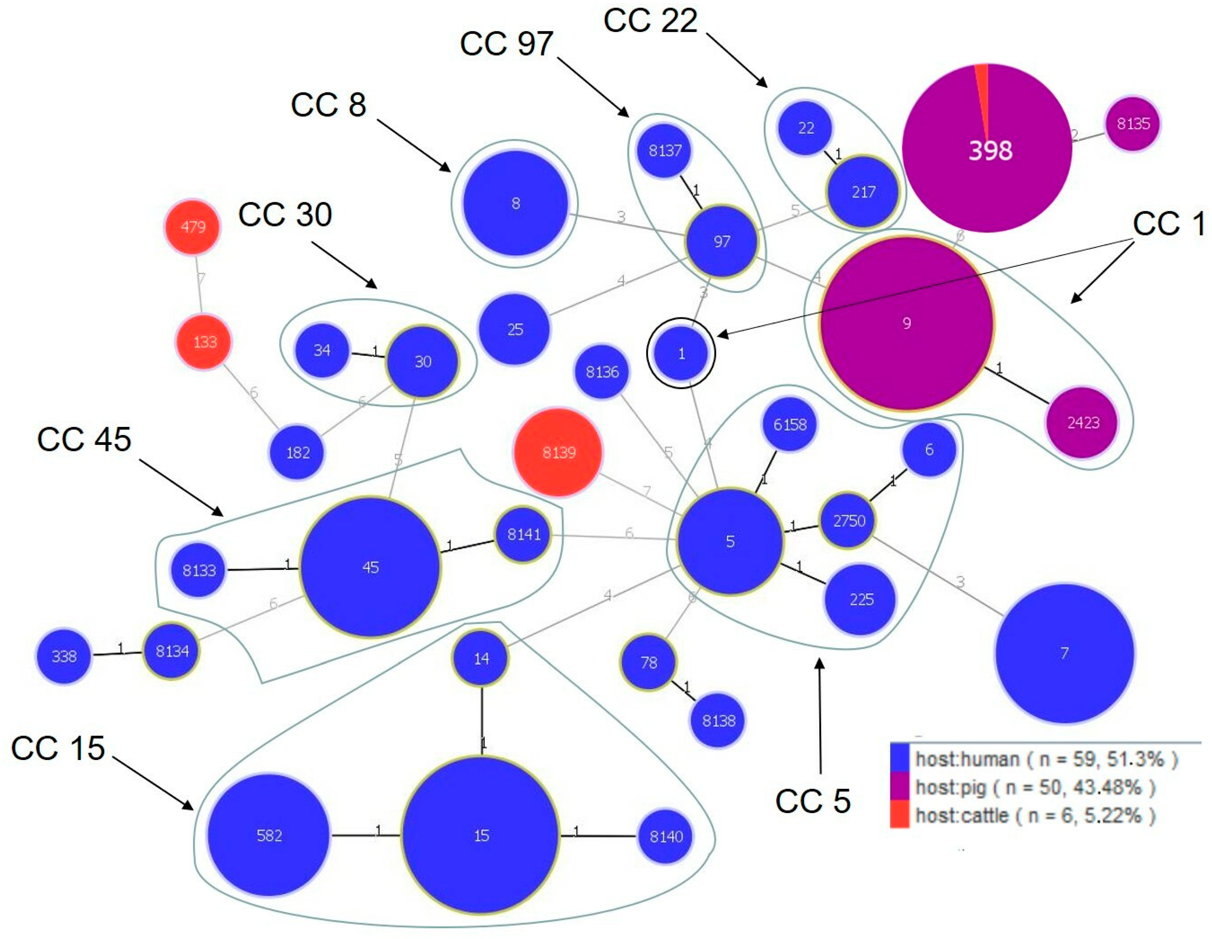 Antibiotics 12 01137 g001