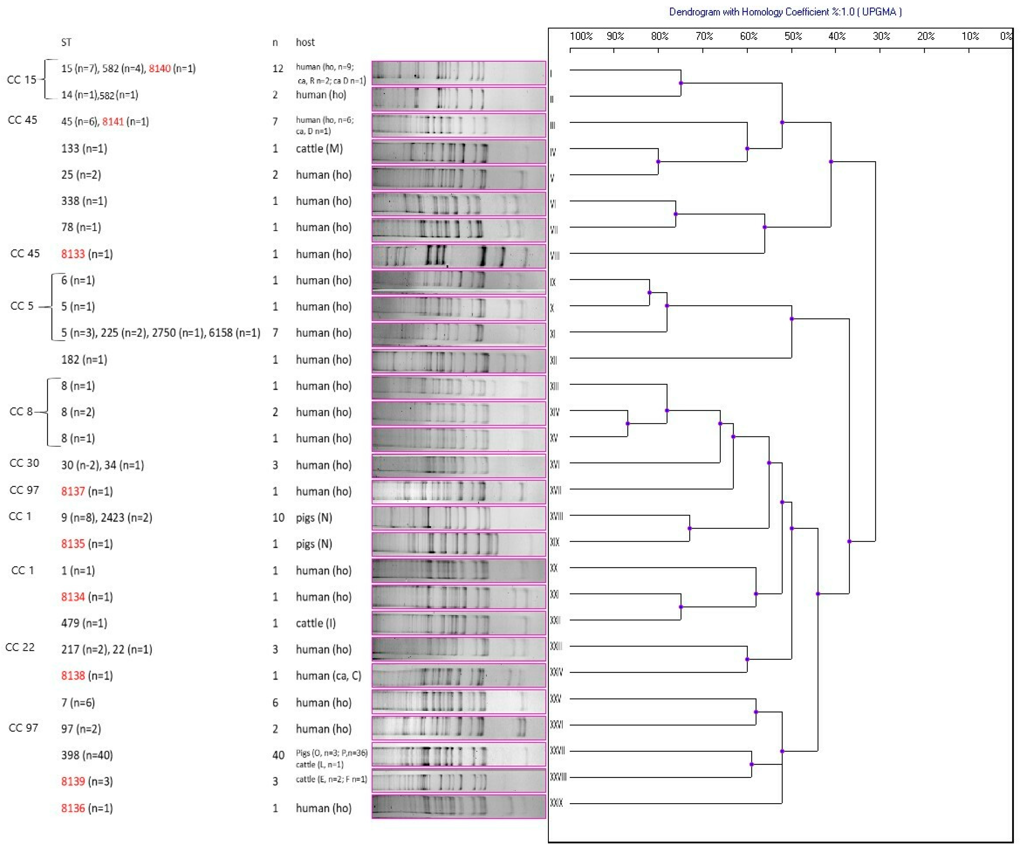 Antibiotics 12 01137 g002