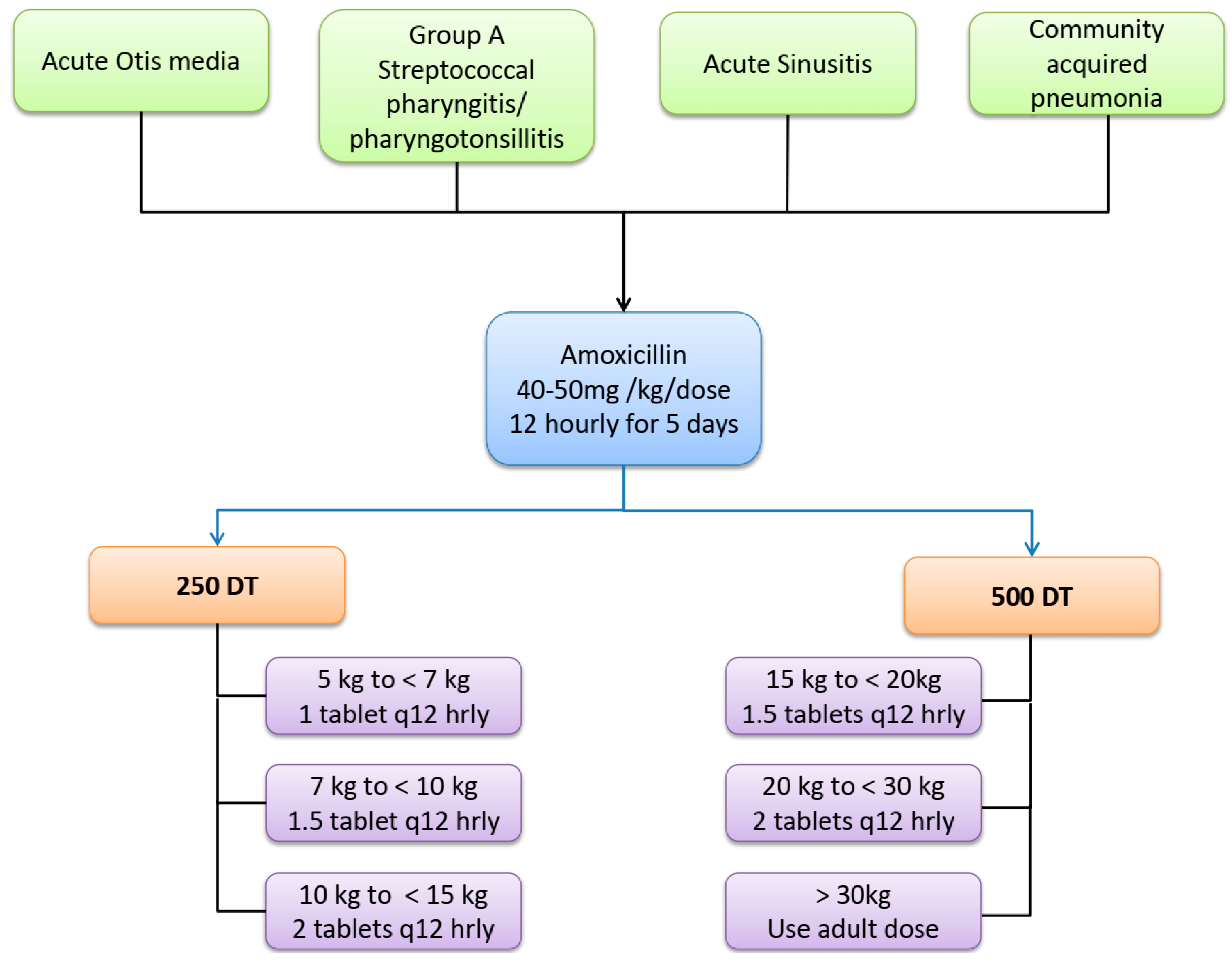 Antibiotics Free Full Text Harmonization Of Amoxicillin Dose