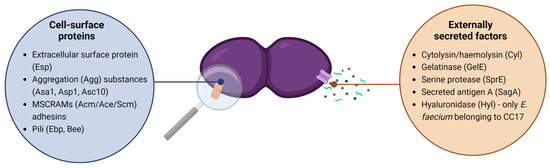 Is Vancomycin Broad Spectrum? Unveiling Antibiotic Power