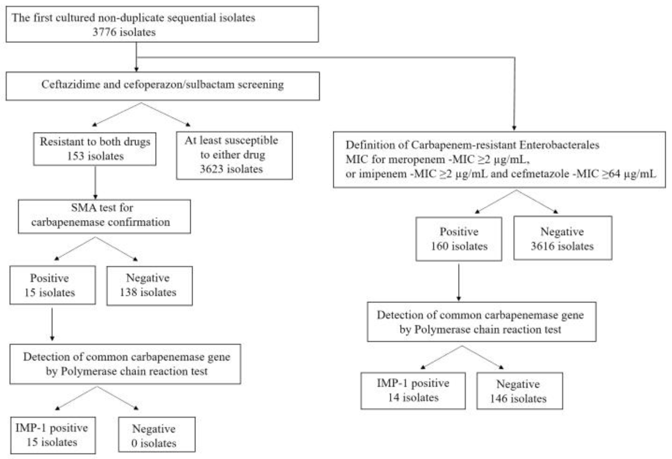 Antibiotics 12 01146 g001 Antibiotics 12 01146 g001