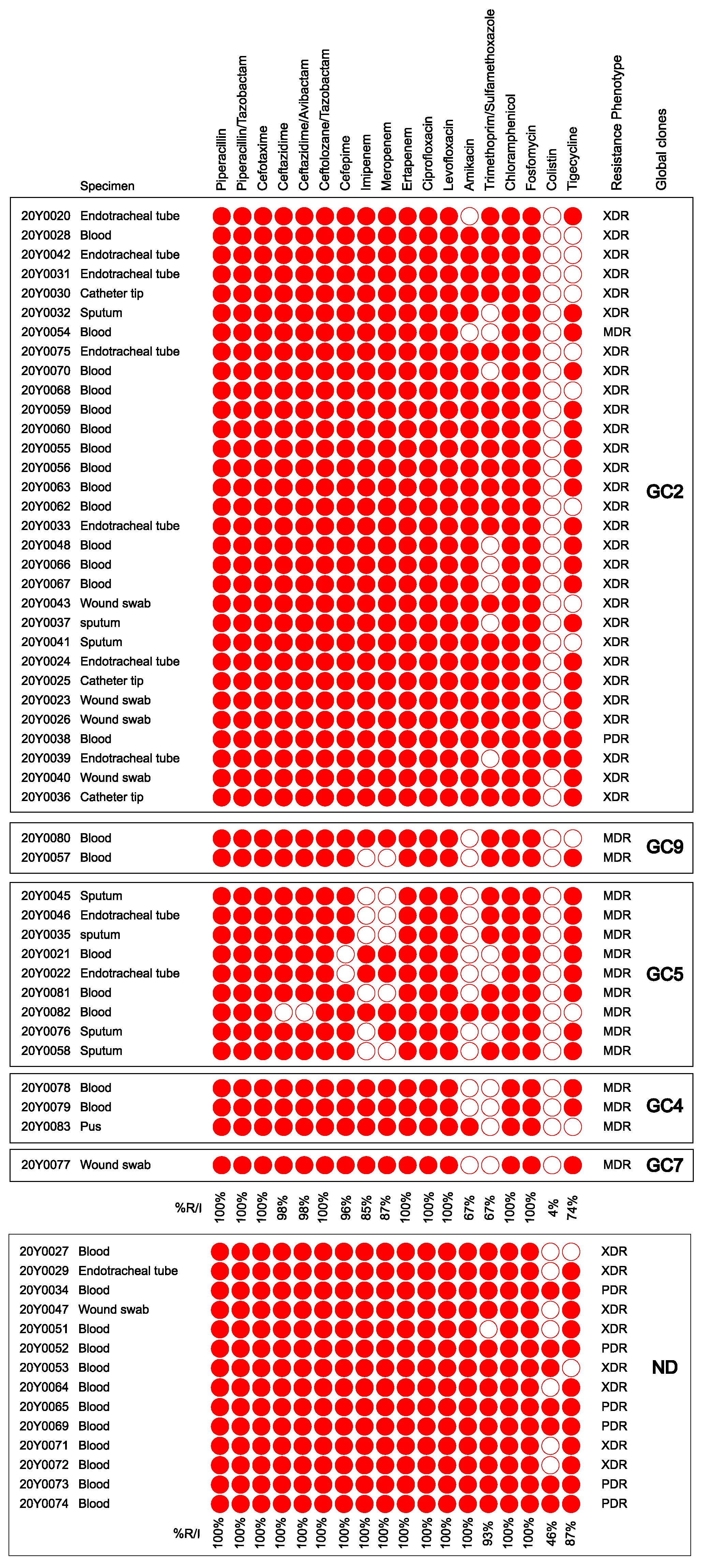 Antibiotics 12 01149 g001
