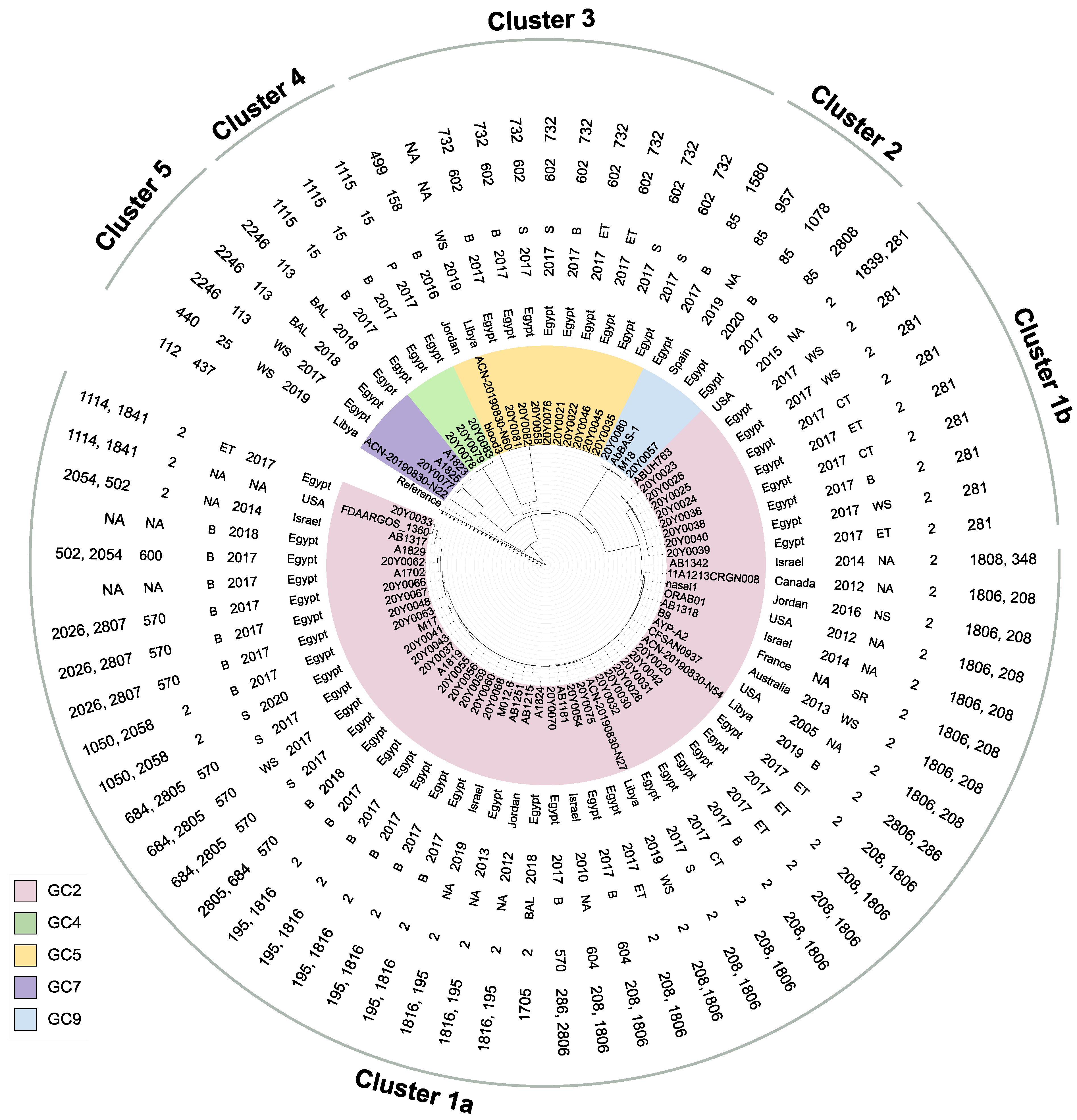 Antibiotics 12 01149 g002
