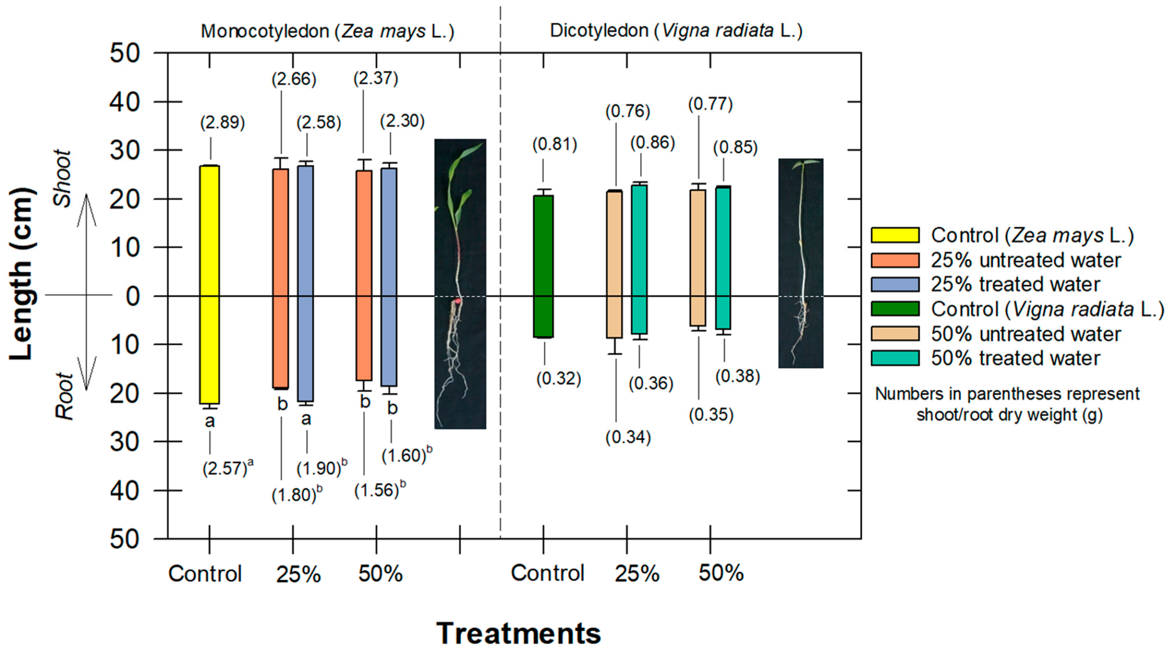Antibiotics 12 01151 g007 Antibiotics 12 01151 g007