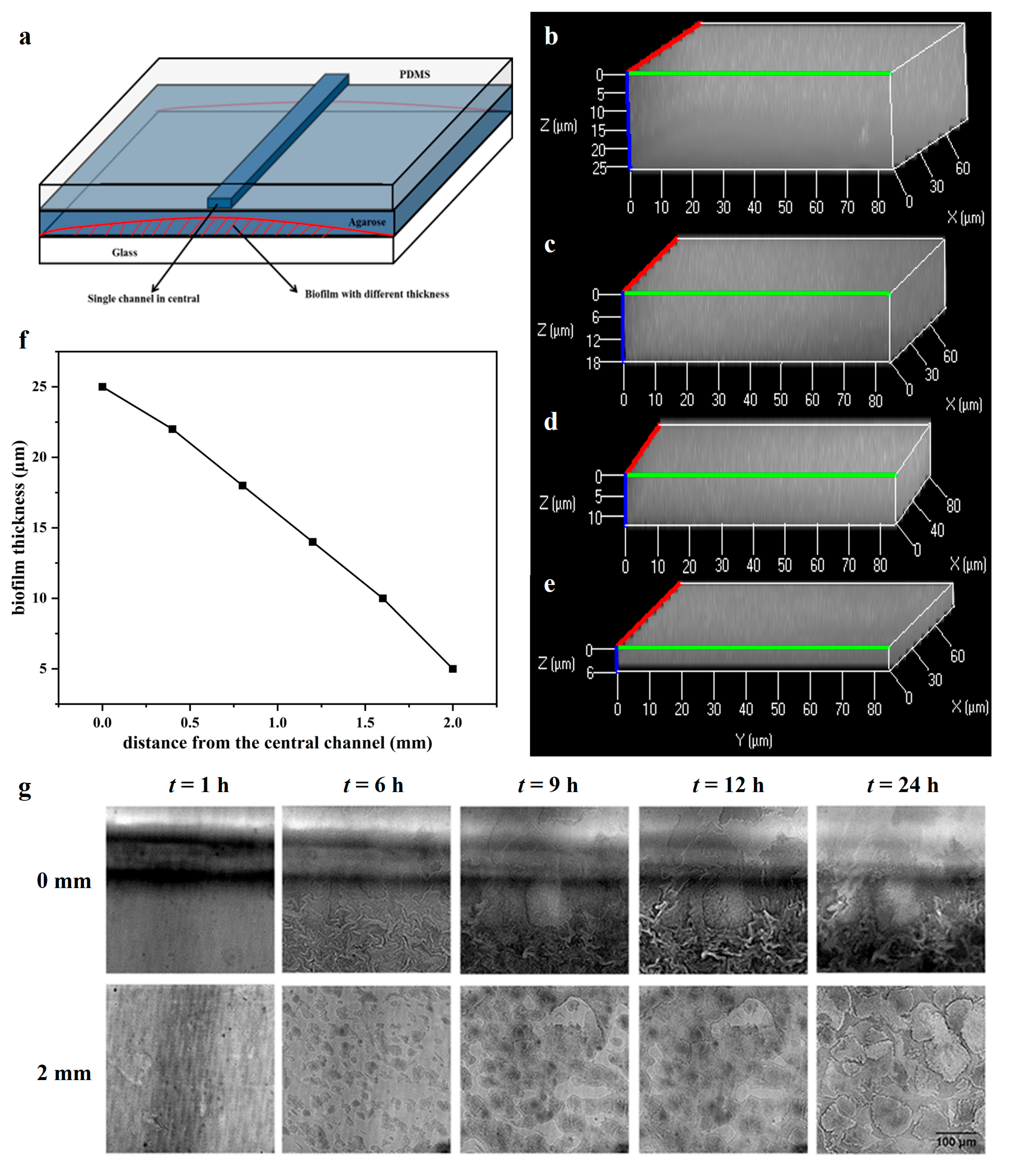 Antibiotics 12 01154 g001 Antibiotics 12 01154 g001