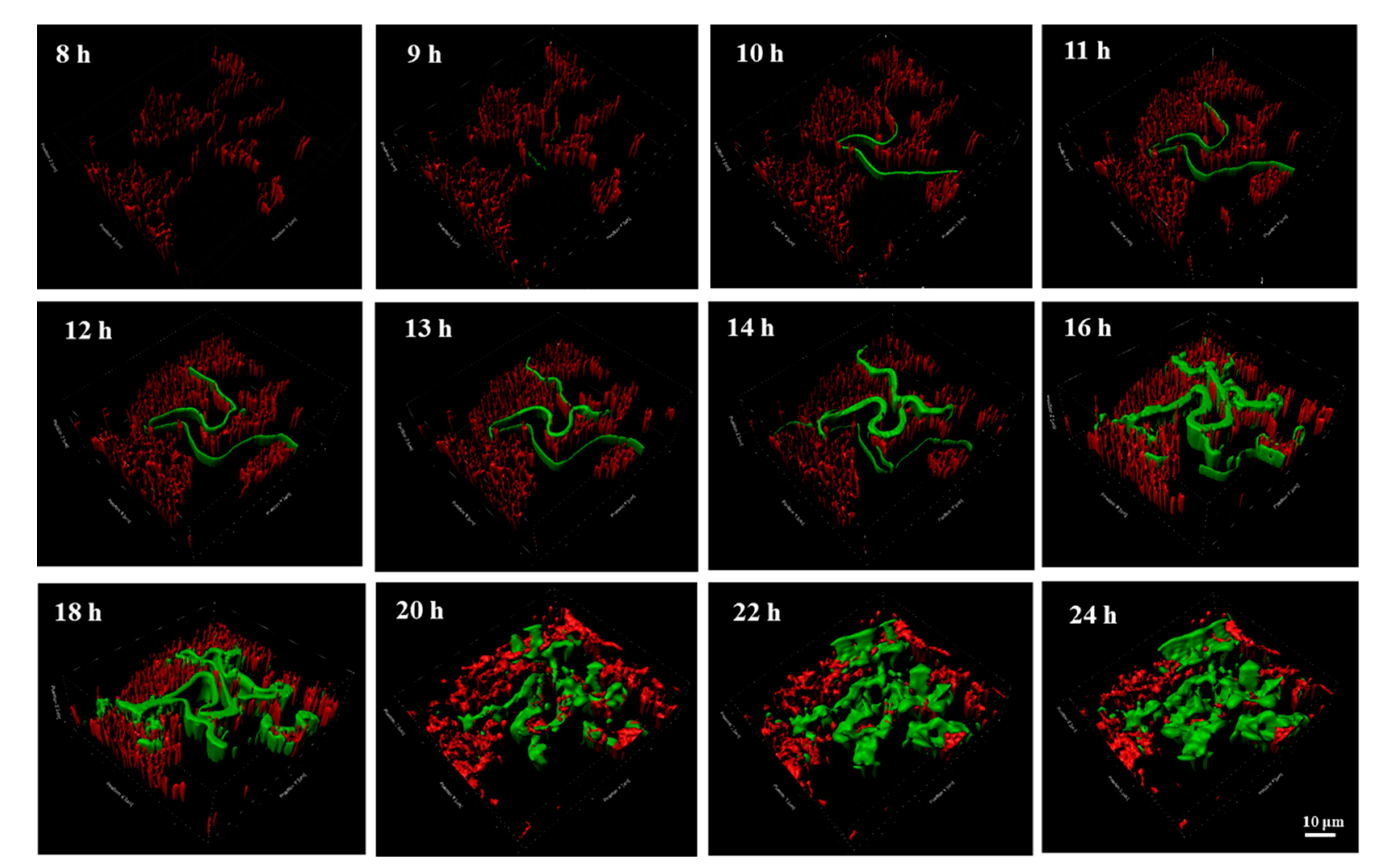 Antibiotics 12 01154 g003 Antibiotics 12 01154 g003