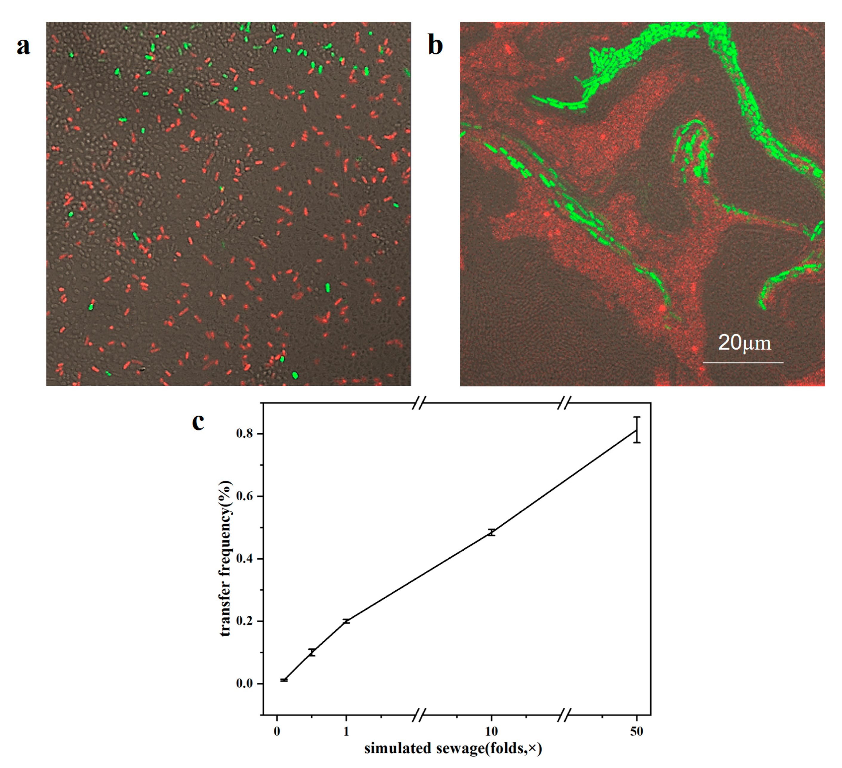 Antibiotics 12 01154 g005 Antibiotics 12 01154 g005
