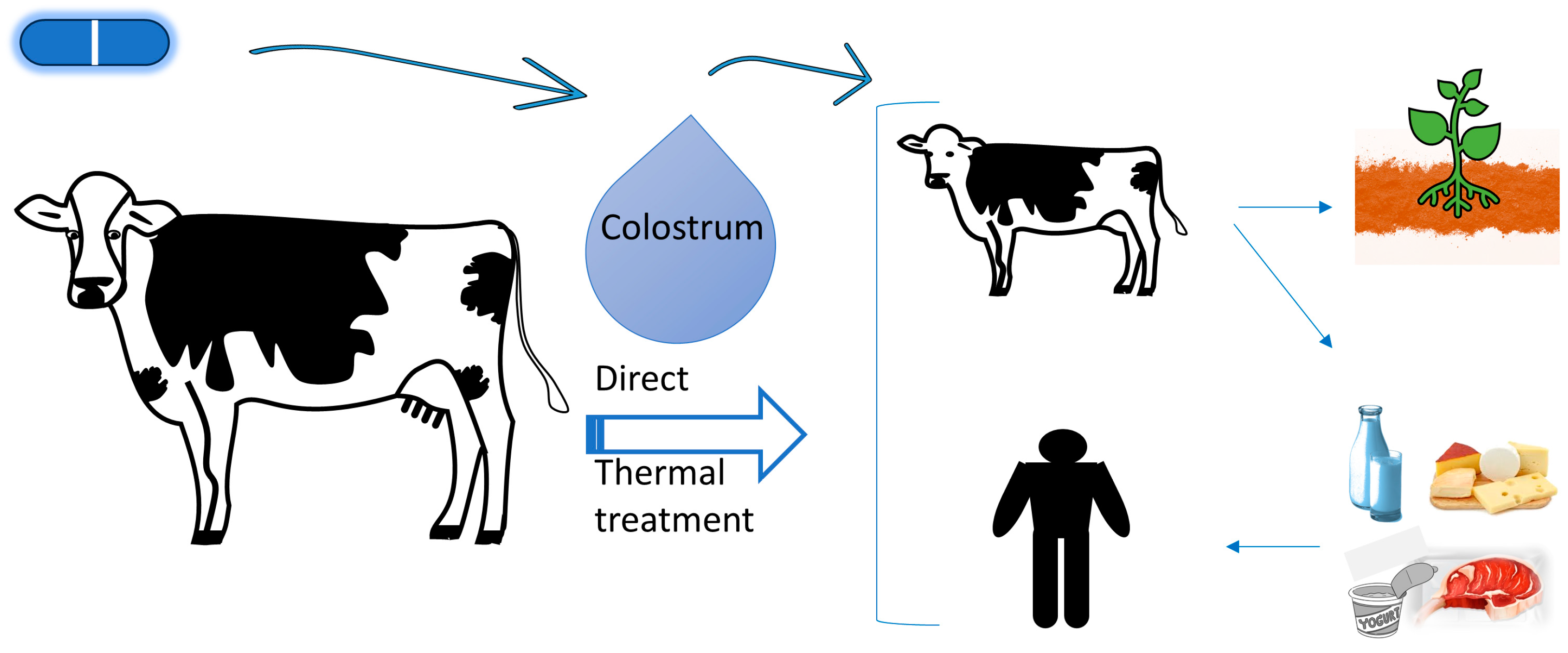 Antibiotics 12 01156 g002