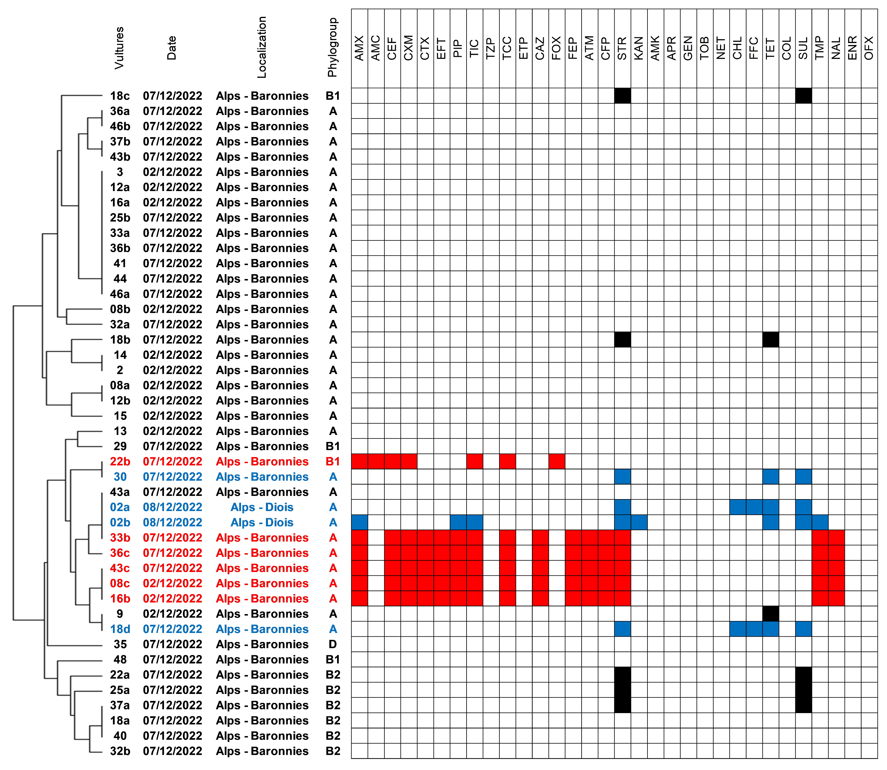 Antibiotics 12 01160 g001 Antibiotics 12 01160 g001
