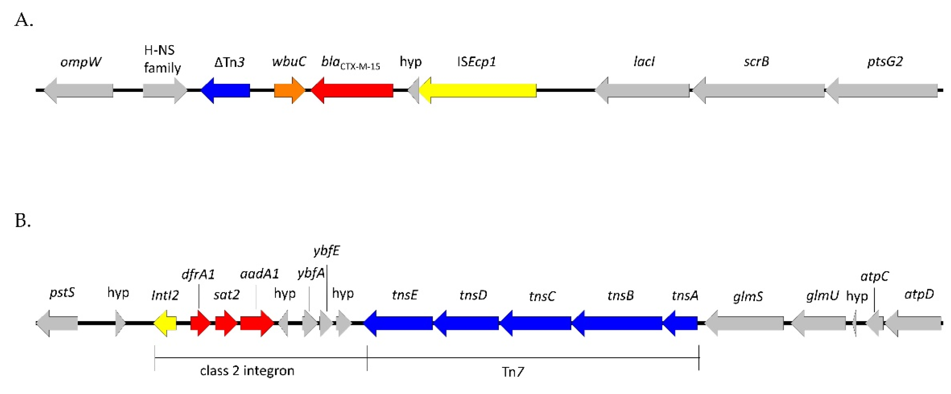 Antibiotics 12 01160 g002 Antibiotics 12 01160 g002