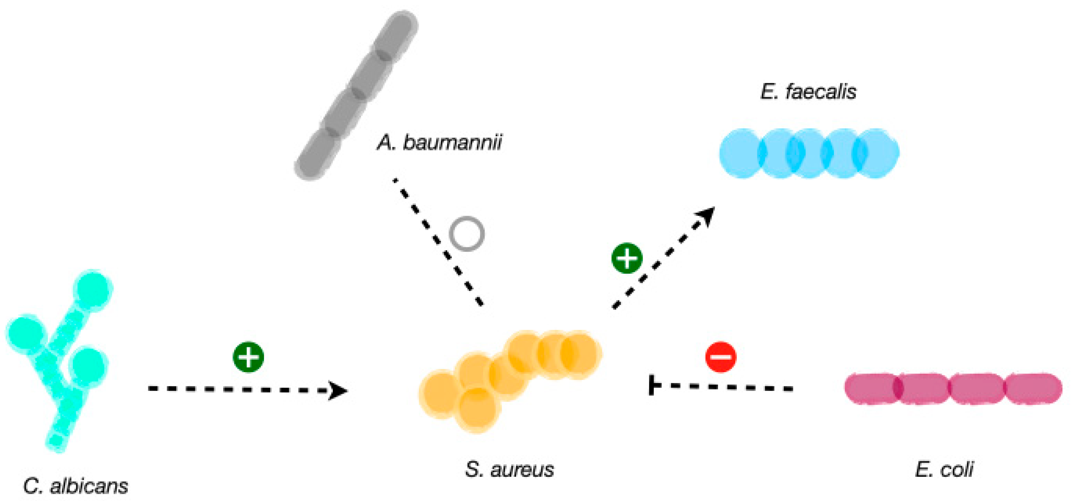Antibiotics 12 01164 g002