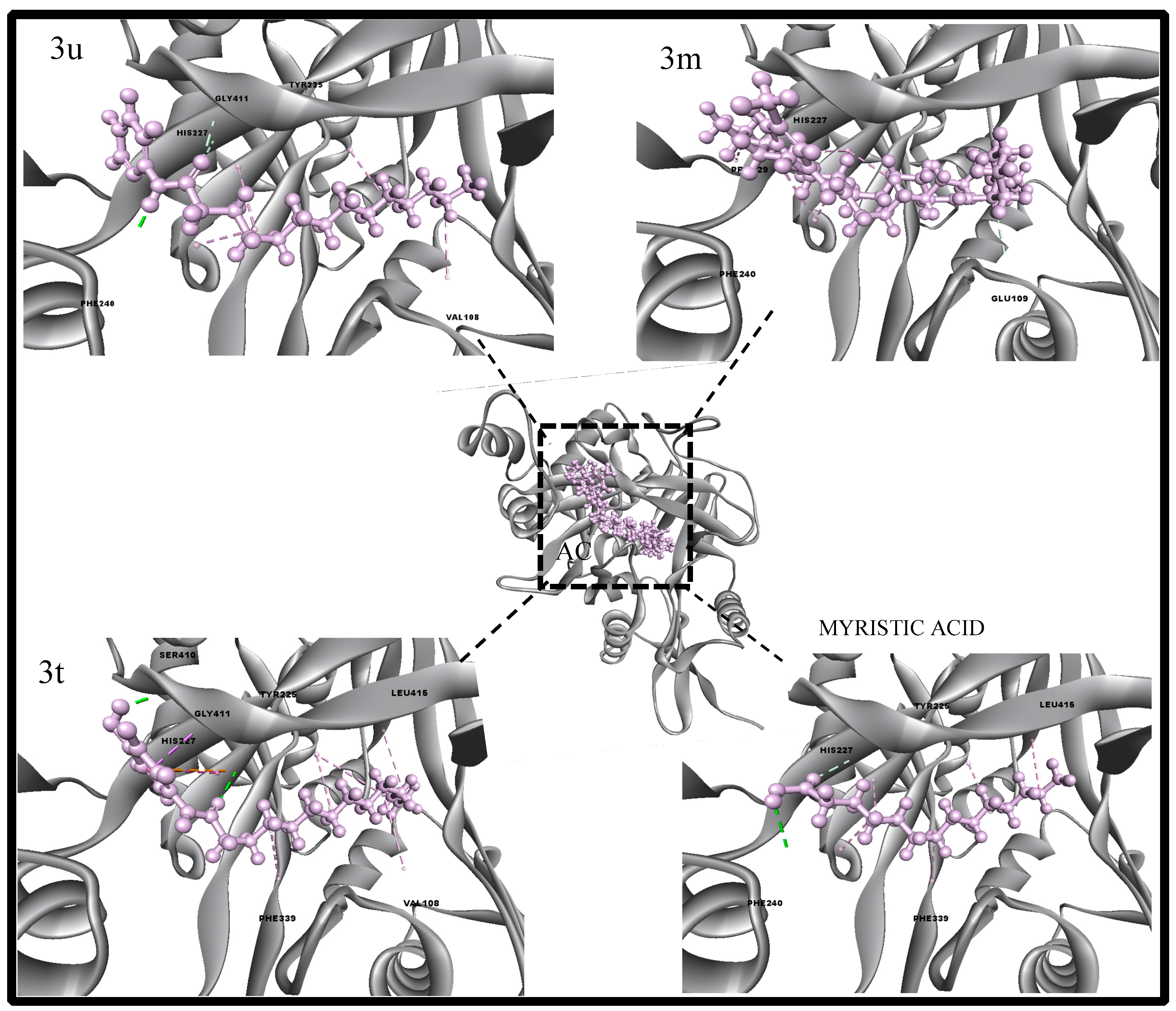 Antibiotics 12 01167 g004