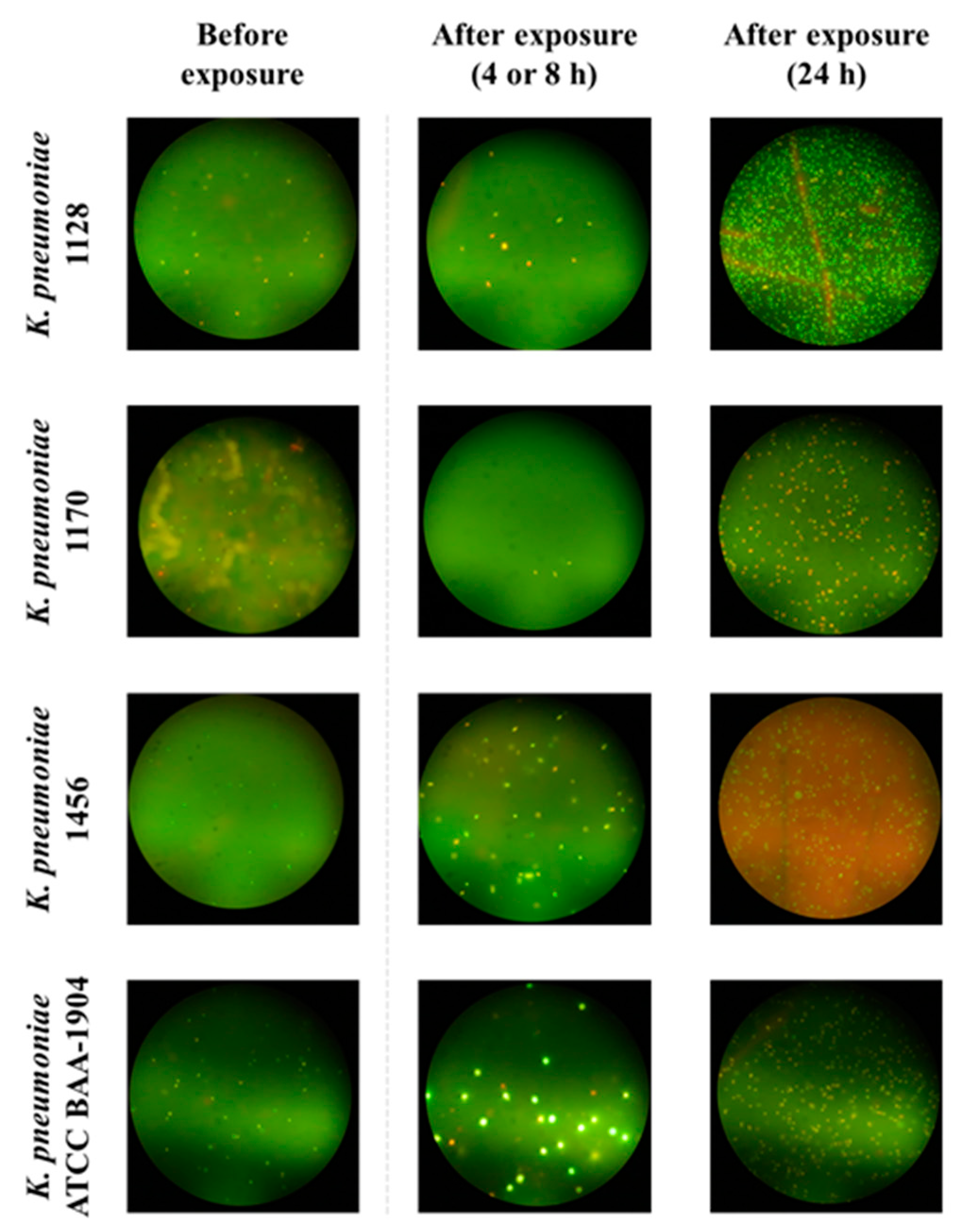 Antibiotics 12 01170 g003