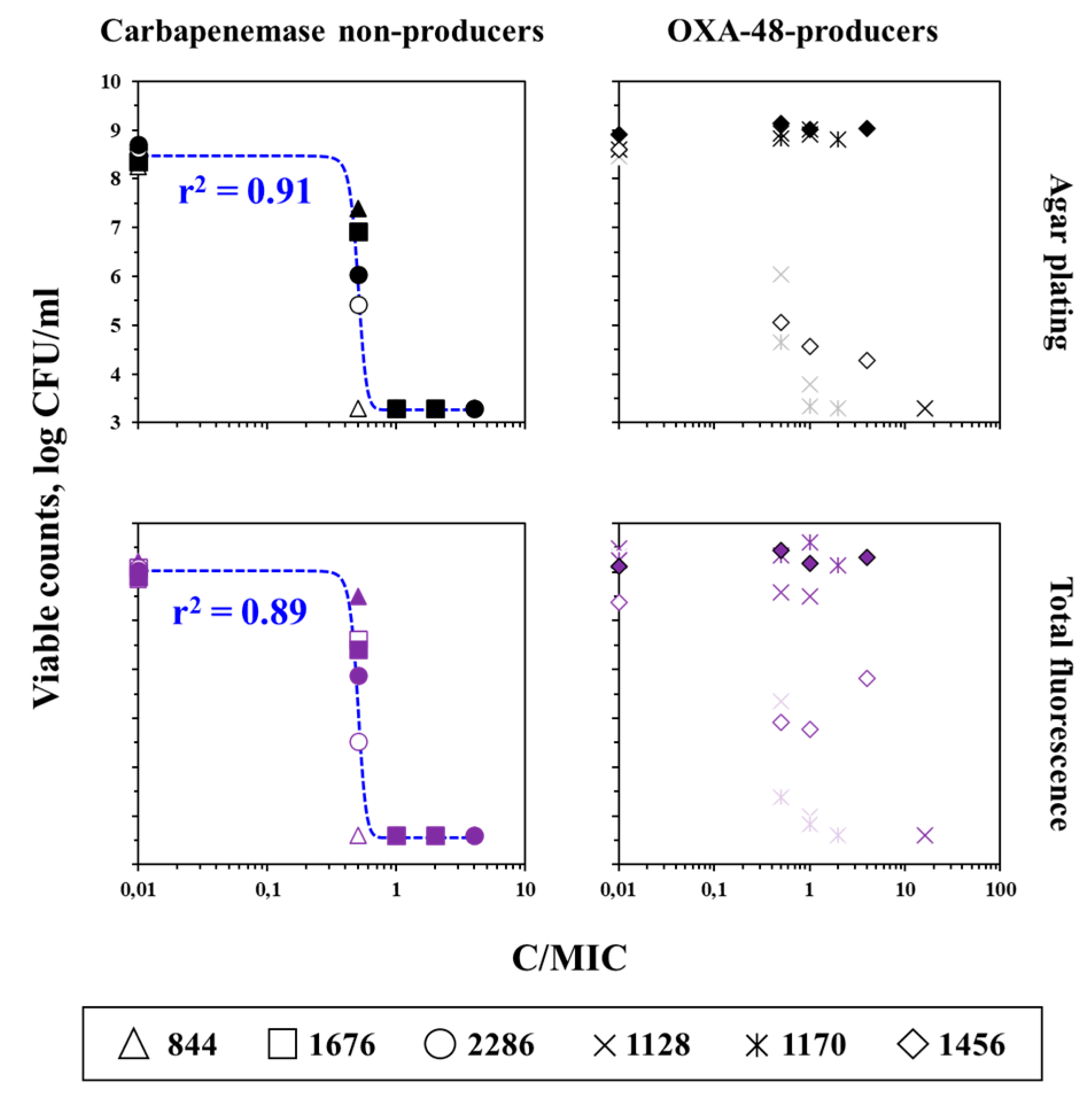 Antibiotics 12 01170 g008