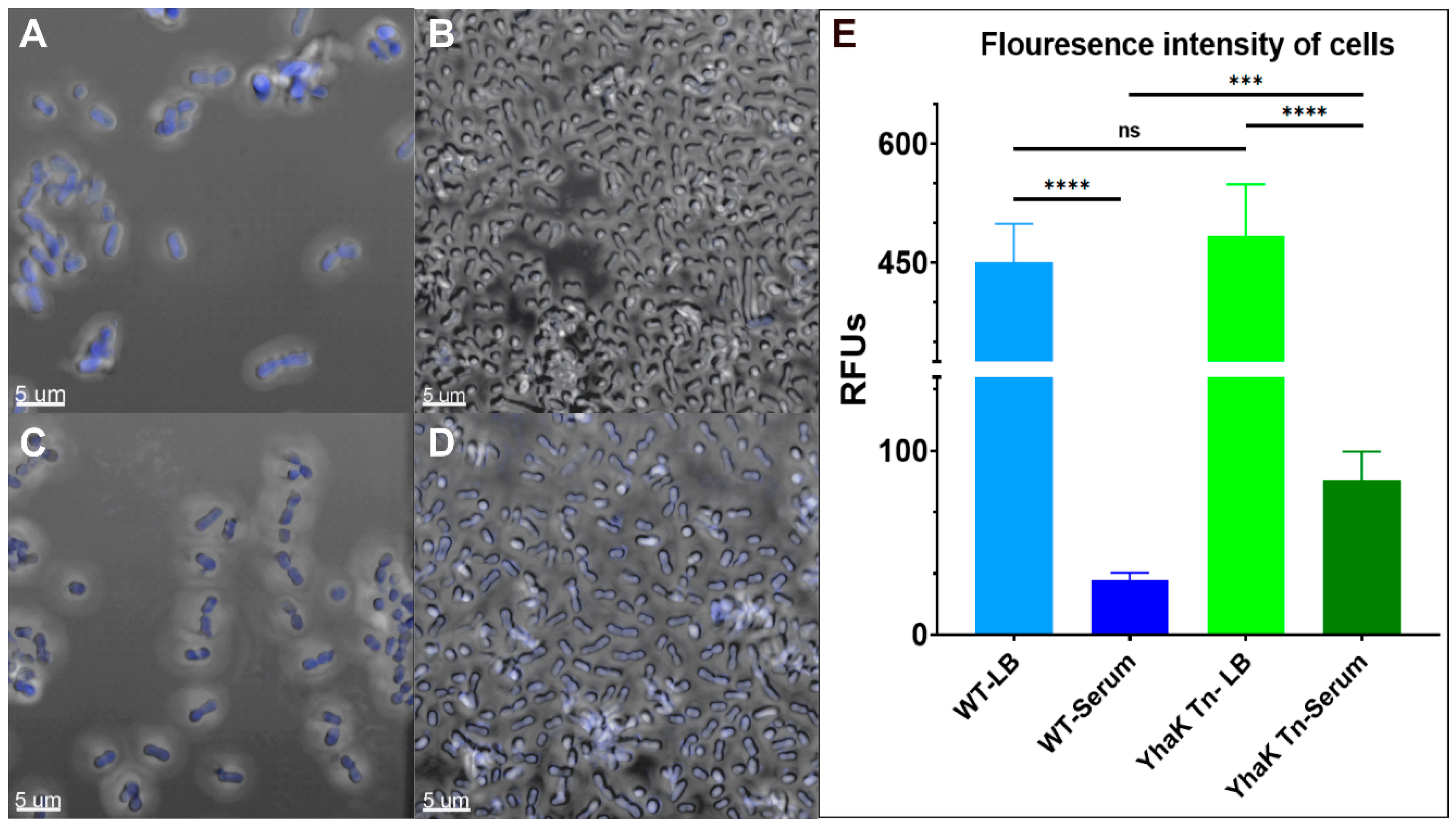 Antibiotics 12 01173 g005 Antibiotics 12 01173 g005